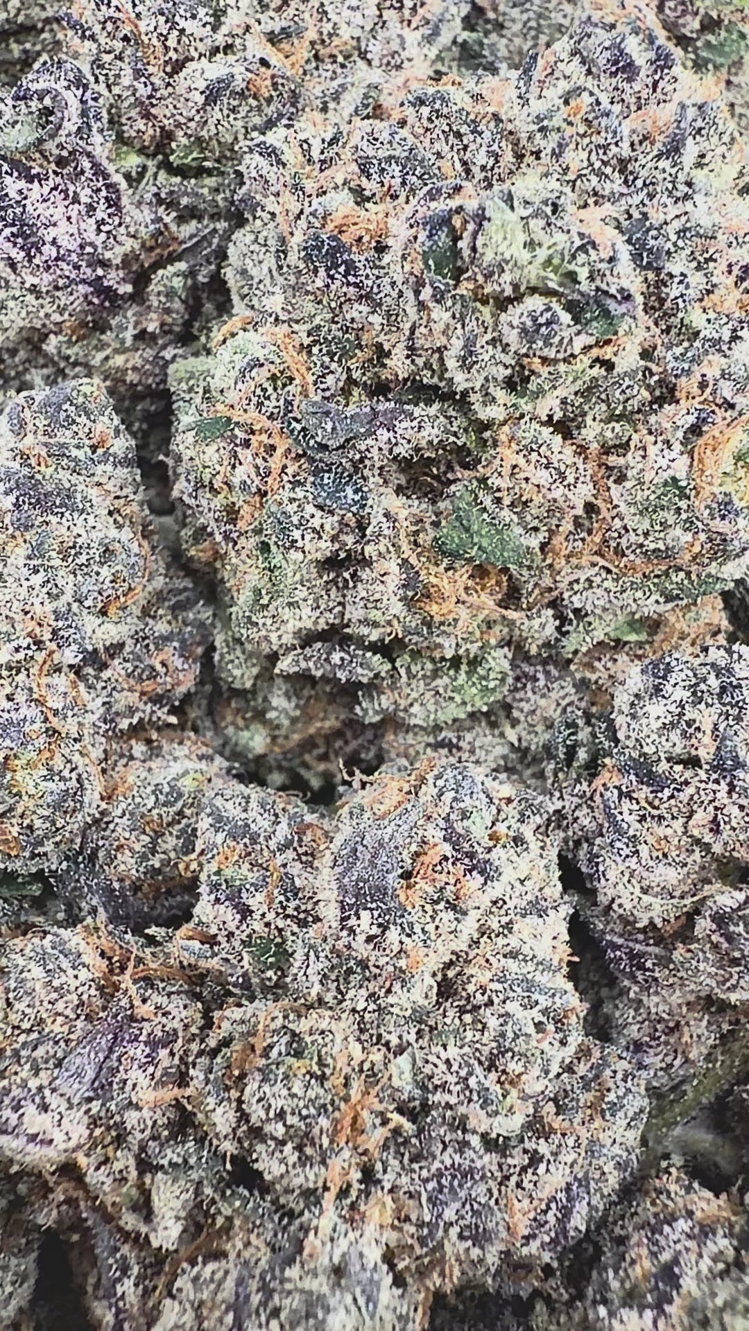 🌿420🌿Wholesale Deals- Exotic LCG (Sold Out)