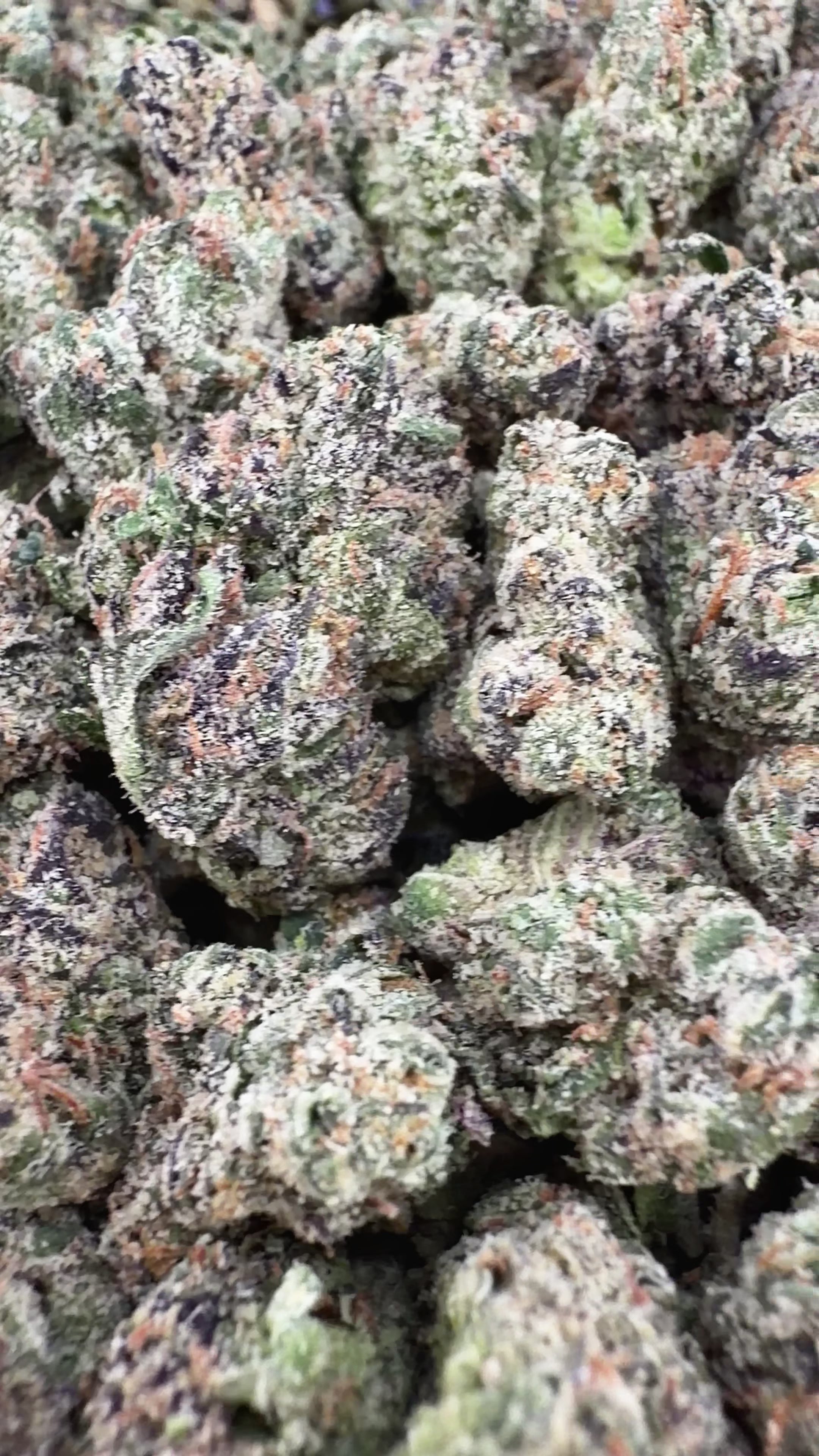 Candy Drop THCa Smalls