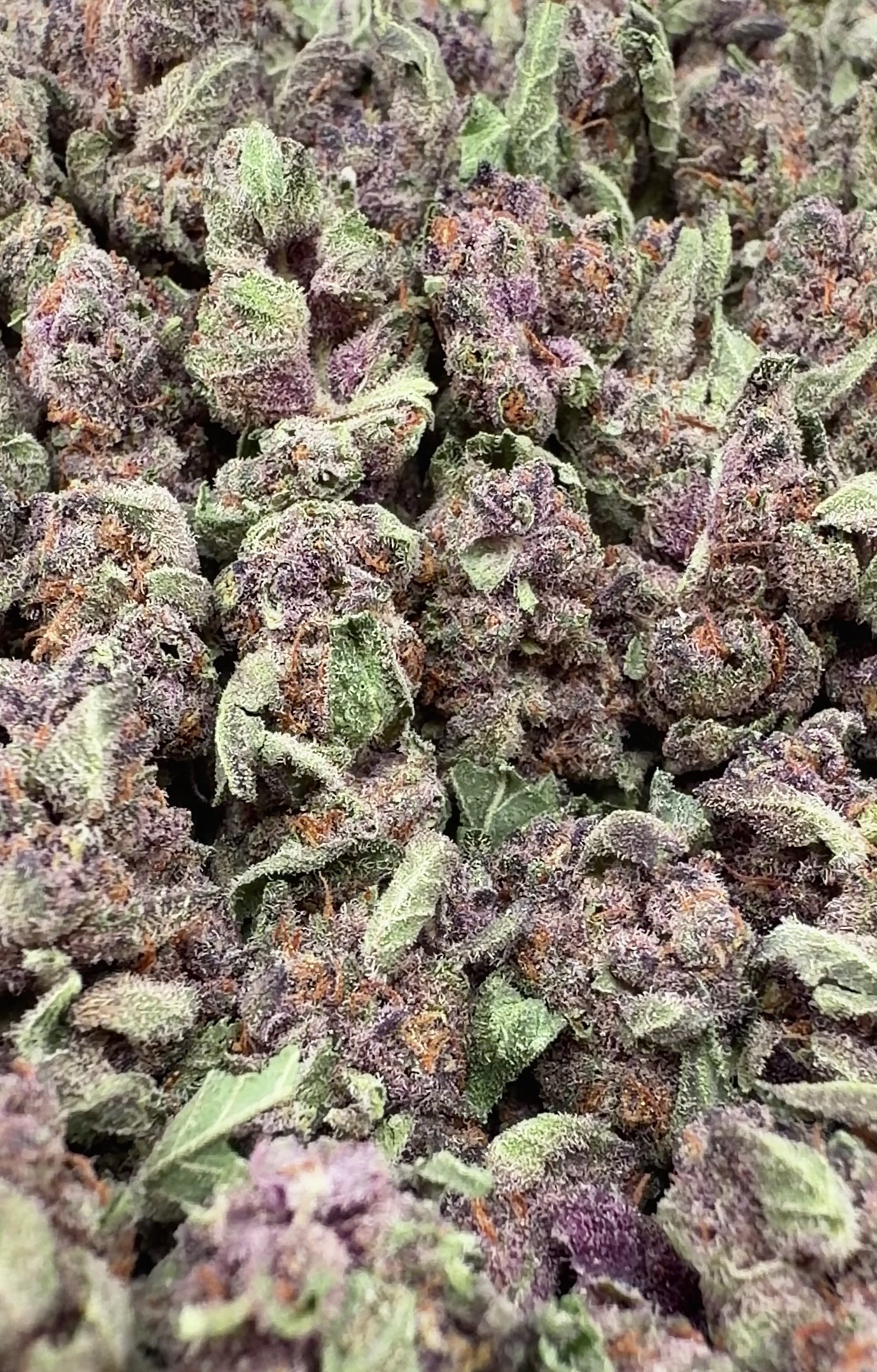 Tropicana Cherries THCa Smalls