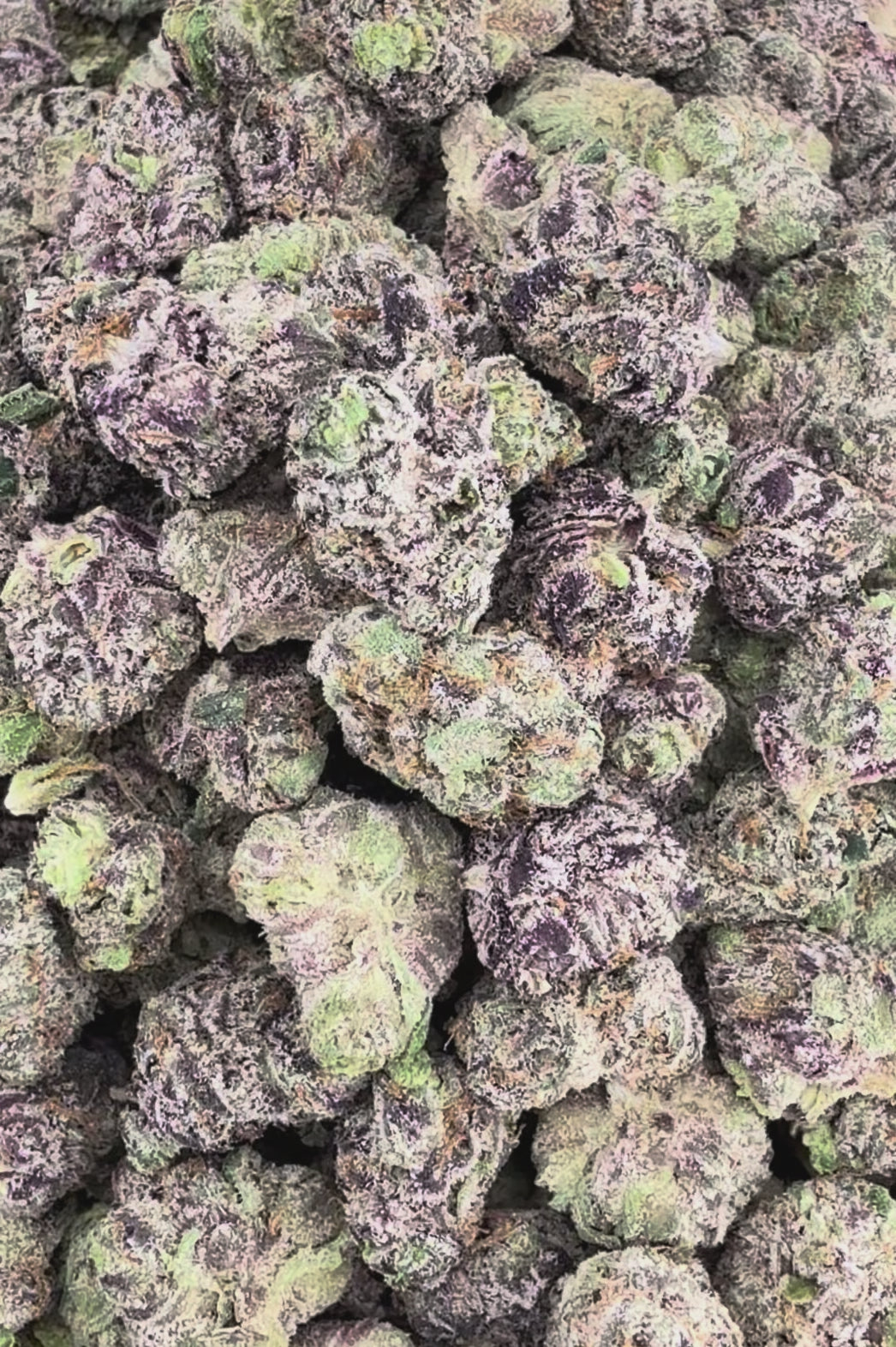 Best Runtz THCa Exotic Smalls