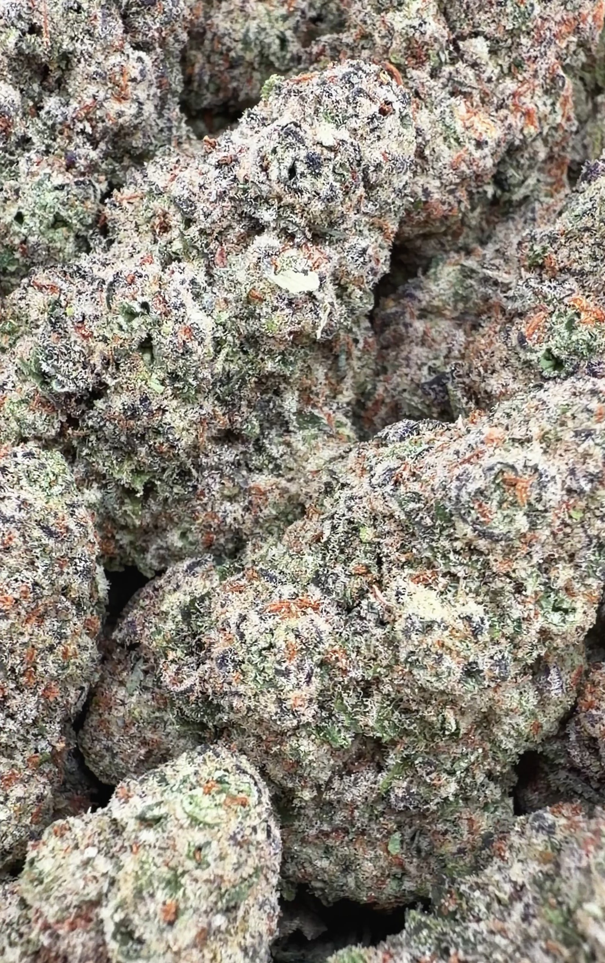 Grape God