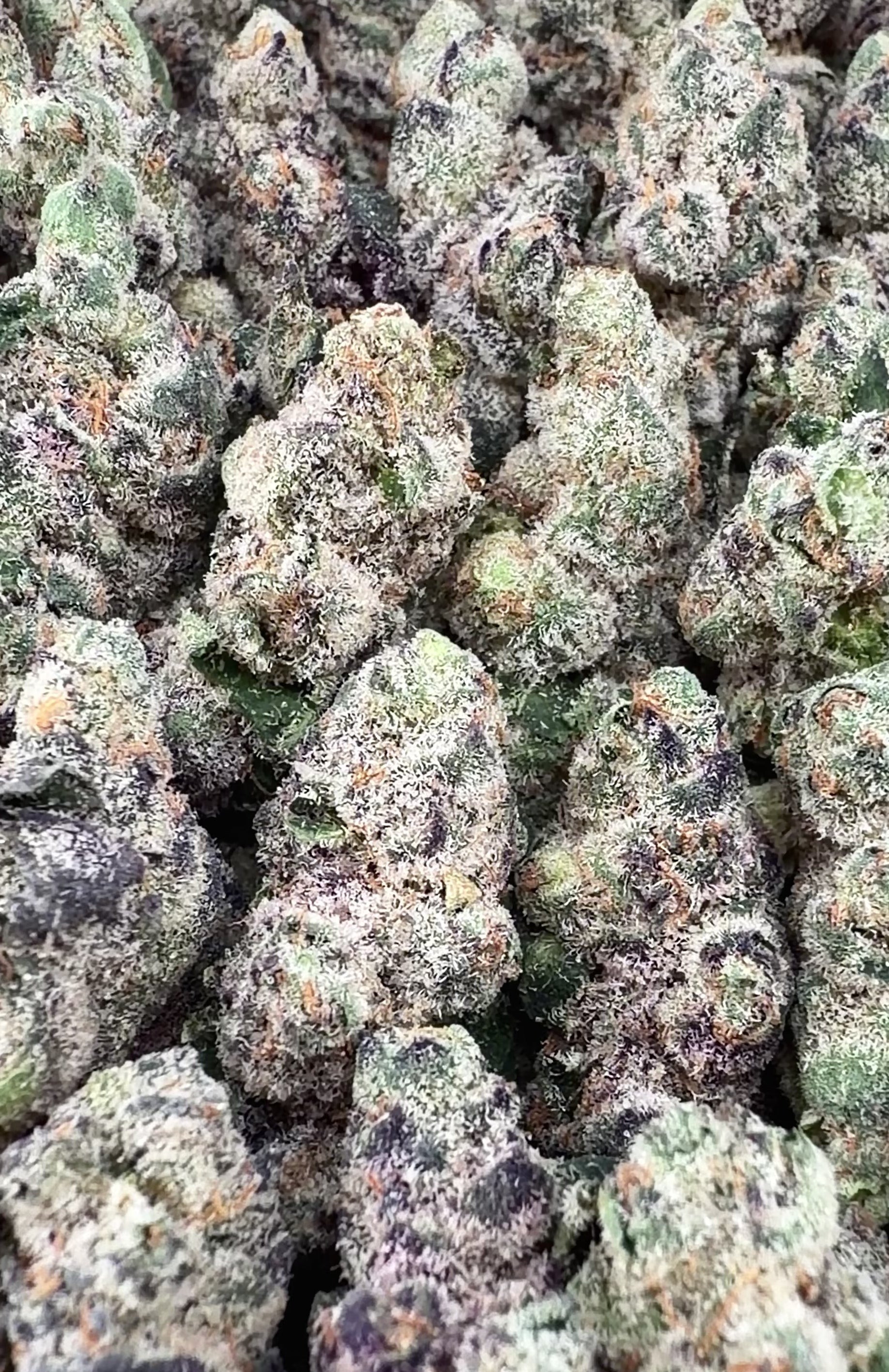 Exotic Girl Scout Cookies THCa Smalls