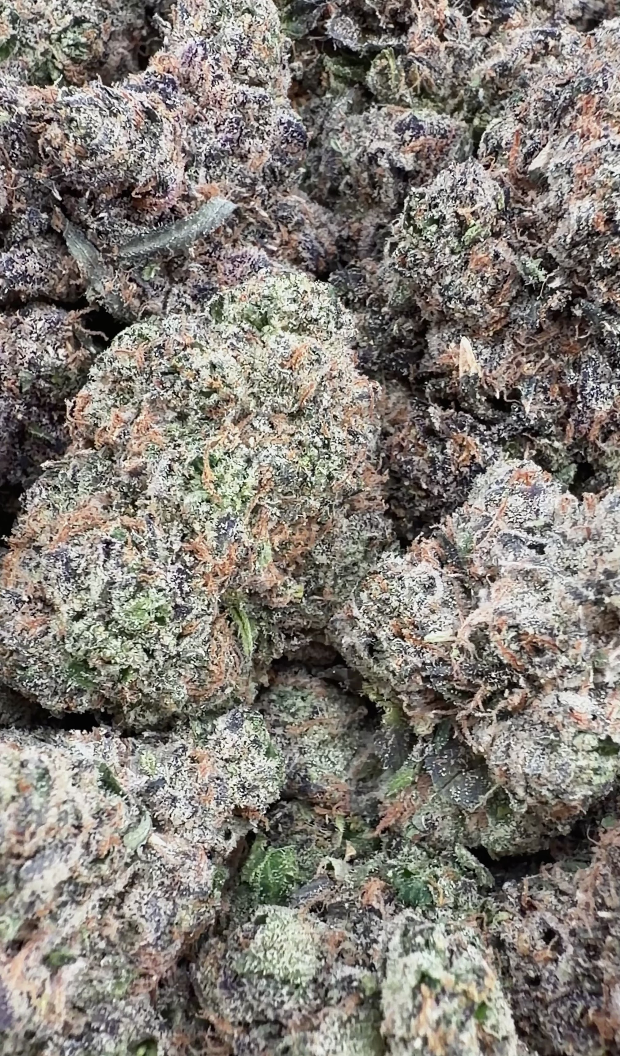 Candy Drop (Wholesale)