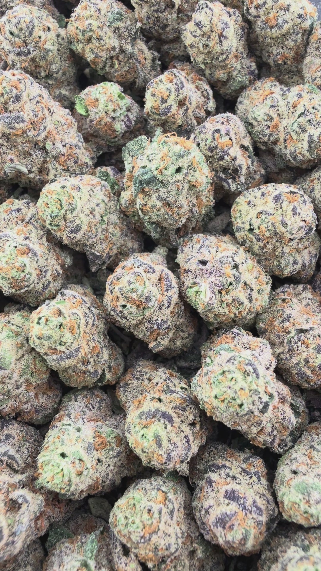 Grape God THCa Smalls  (Wholesale)