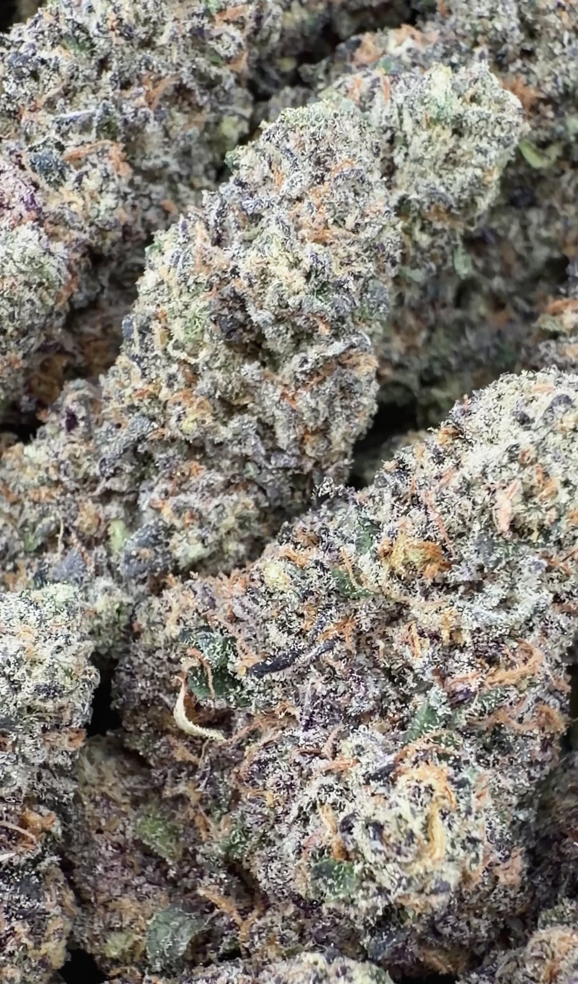 Pinnacle (Wholesale)