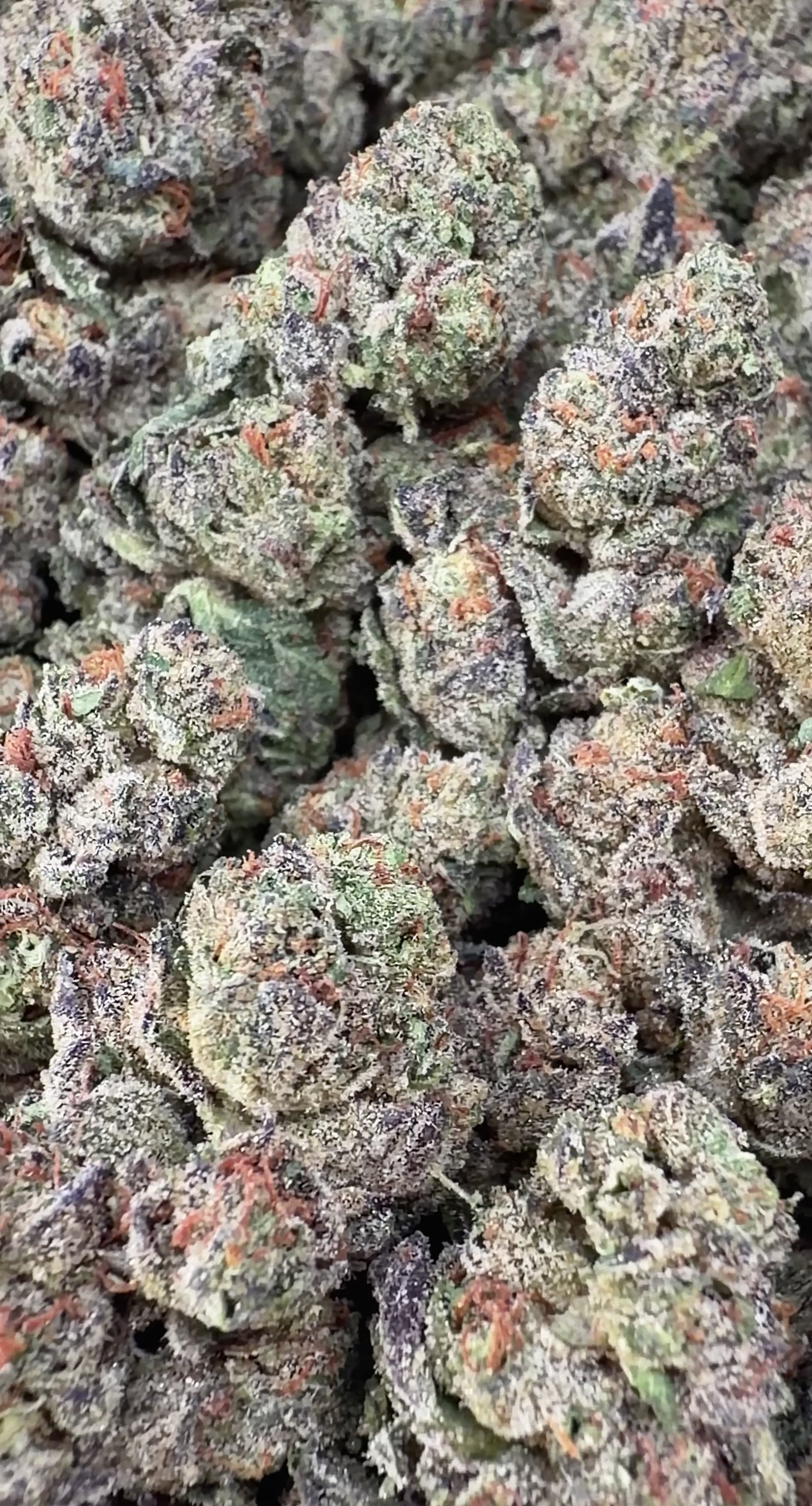 BOGO Buy 14G get 14G🔥Space Cake