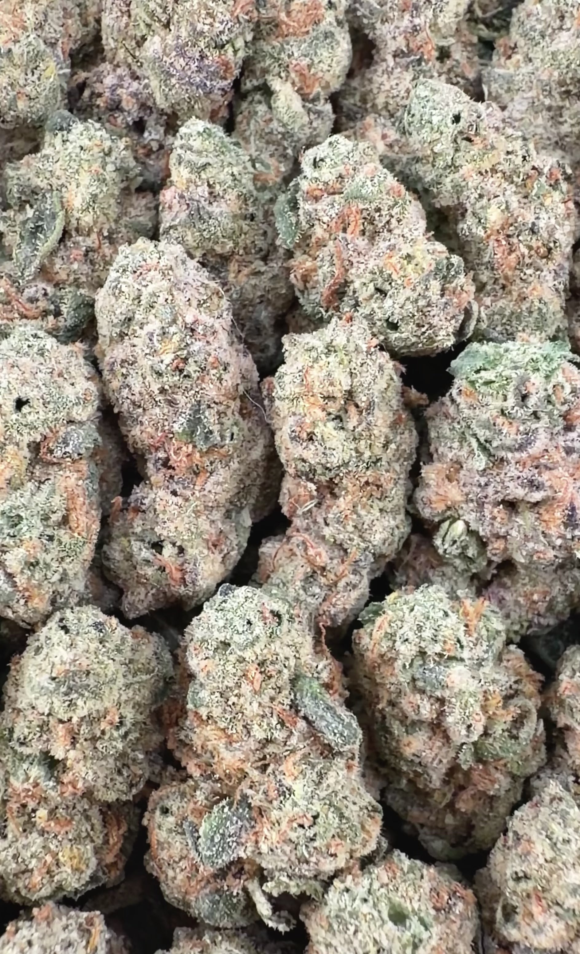 Gush Mints THCa Exotic Smalls