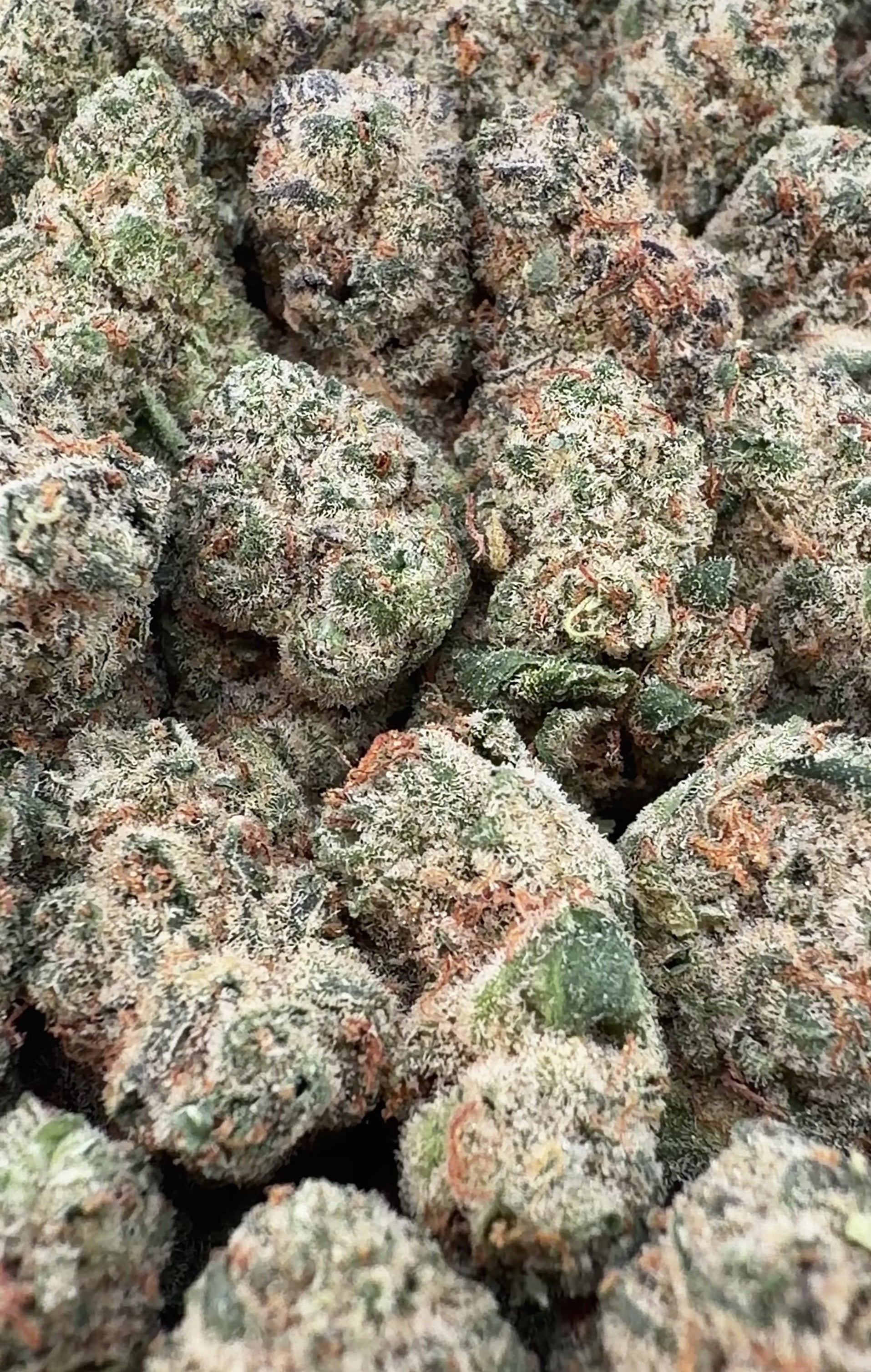 (BOGO 14G) Exotic Grandaddy Purple THCa Smalls