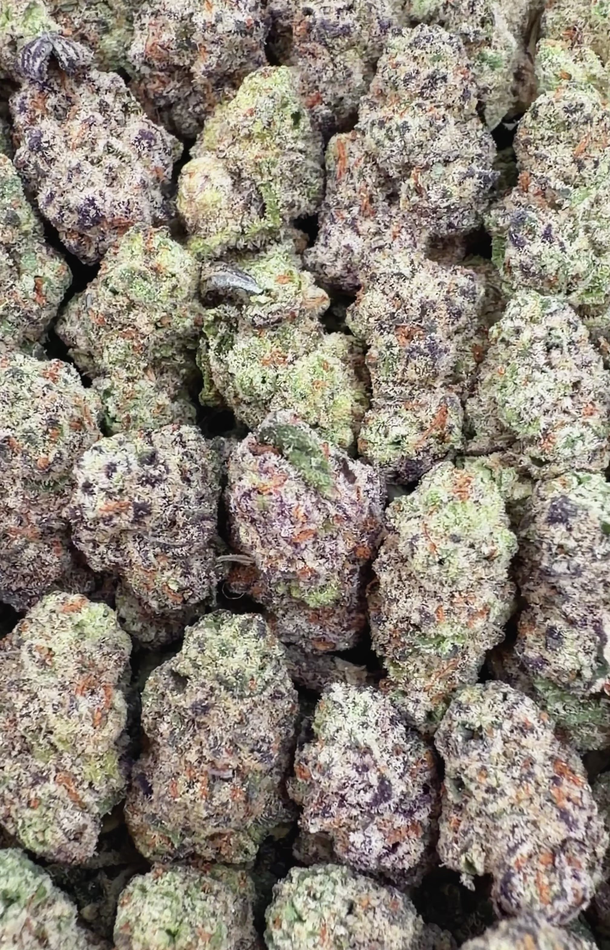 Glitter Bomb THCa Smalls (Wholesale)