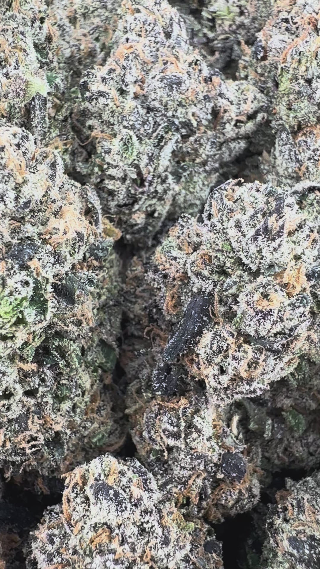White Runtz - Valley Hemp