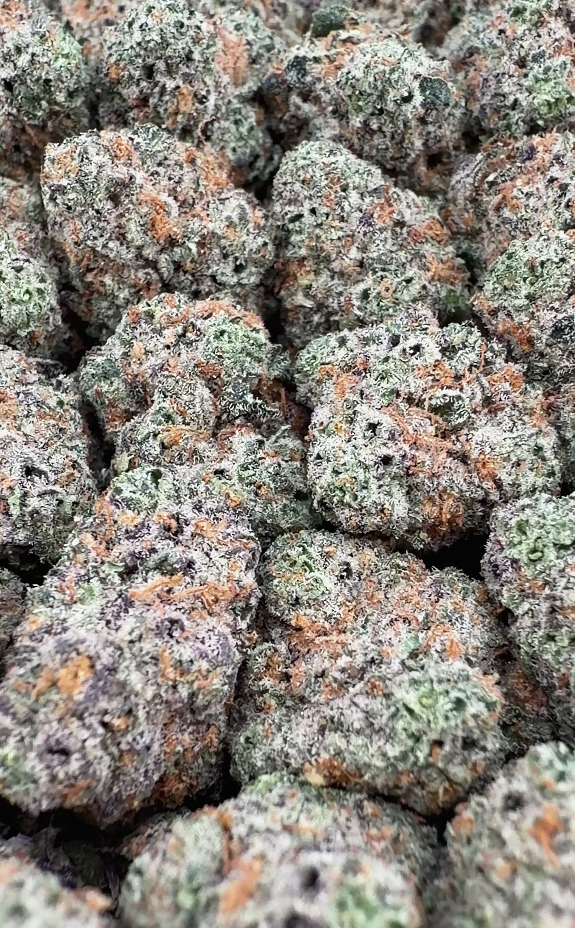 Exotic LCG THCa Smalls