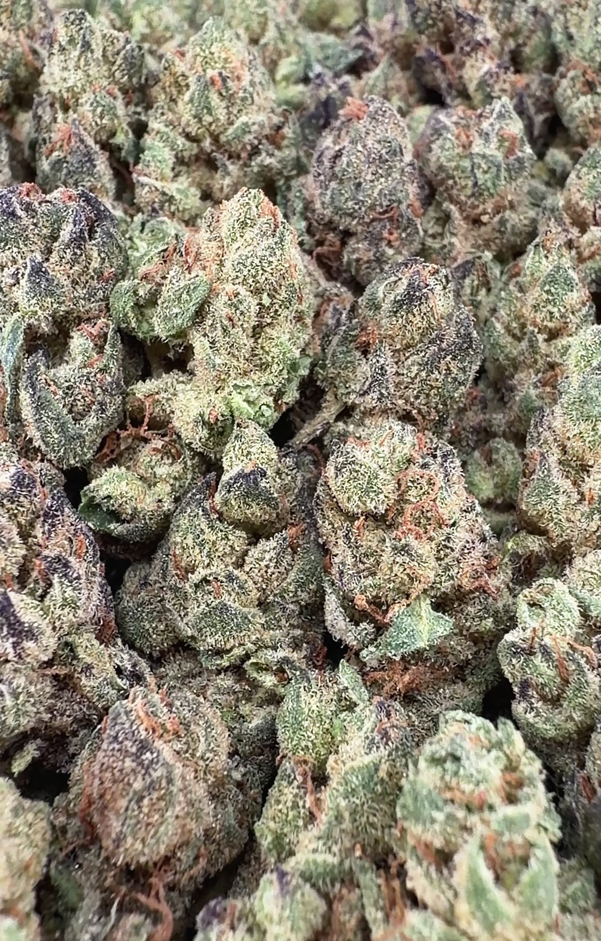 Lemon Cherry Gelato THCa Smalls