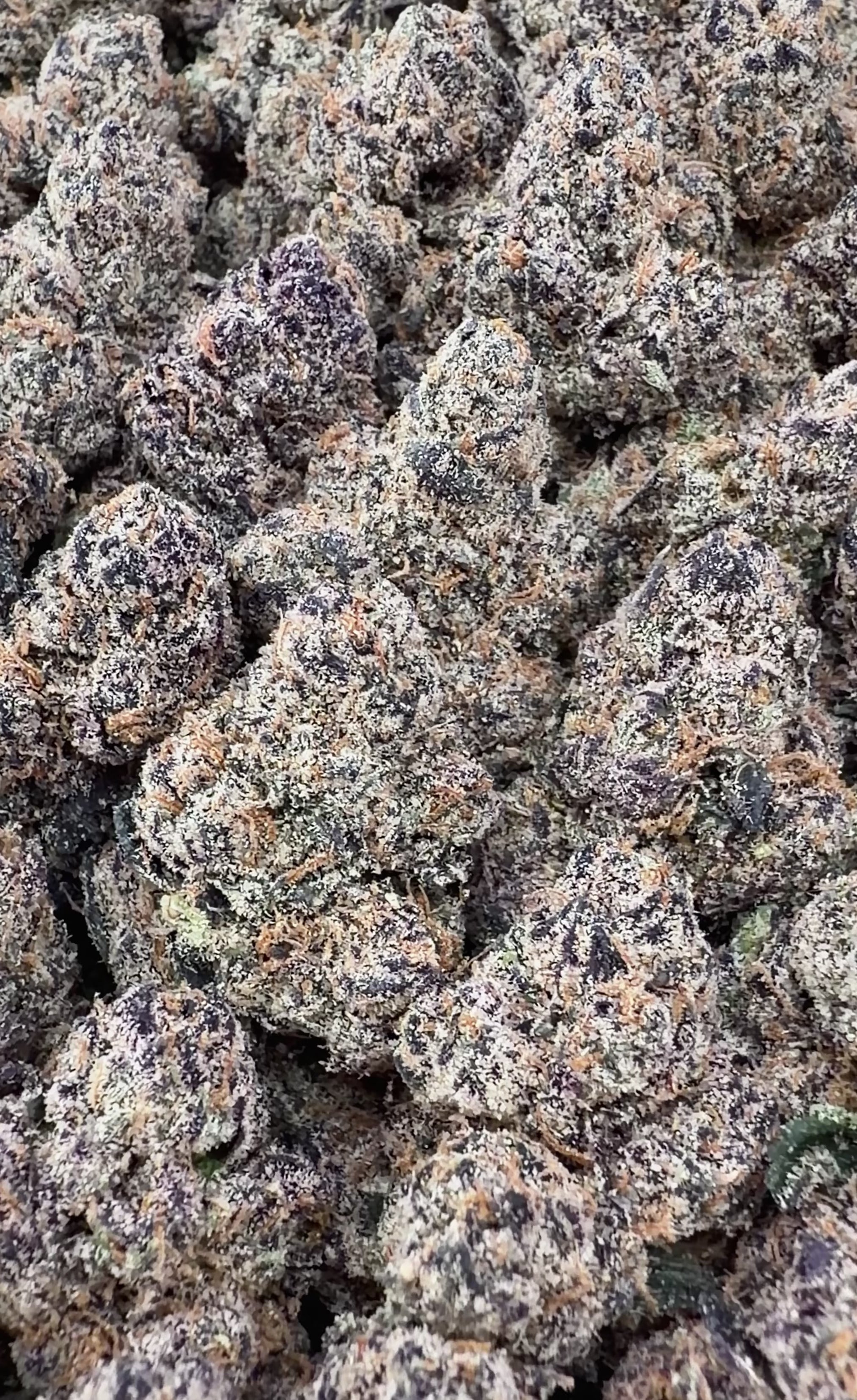 BOGO Bulk: Buy HP get HP🌿Exotic Purple Cream Cake