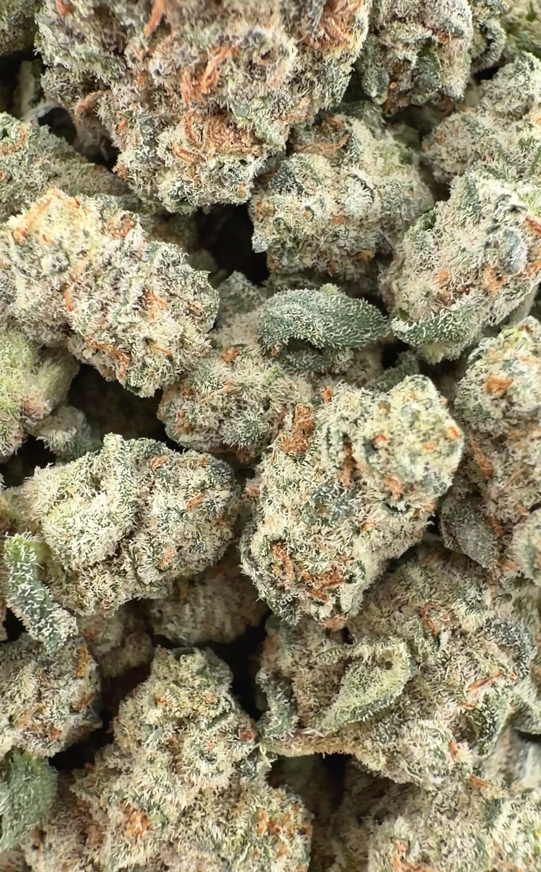 Splash THCa Exotic Smalls