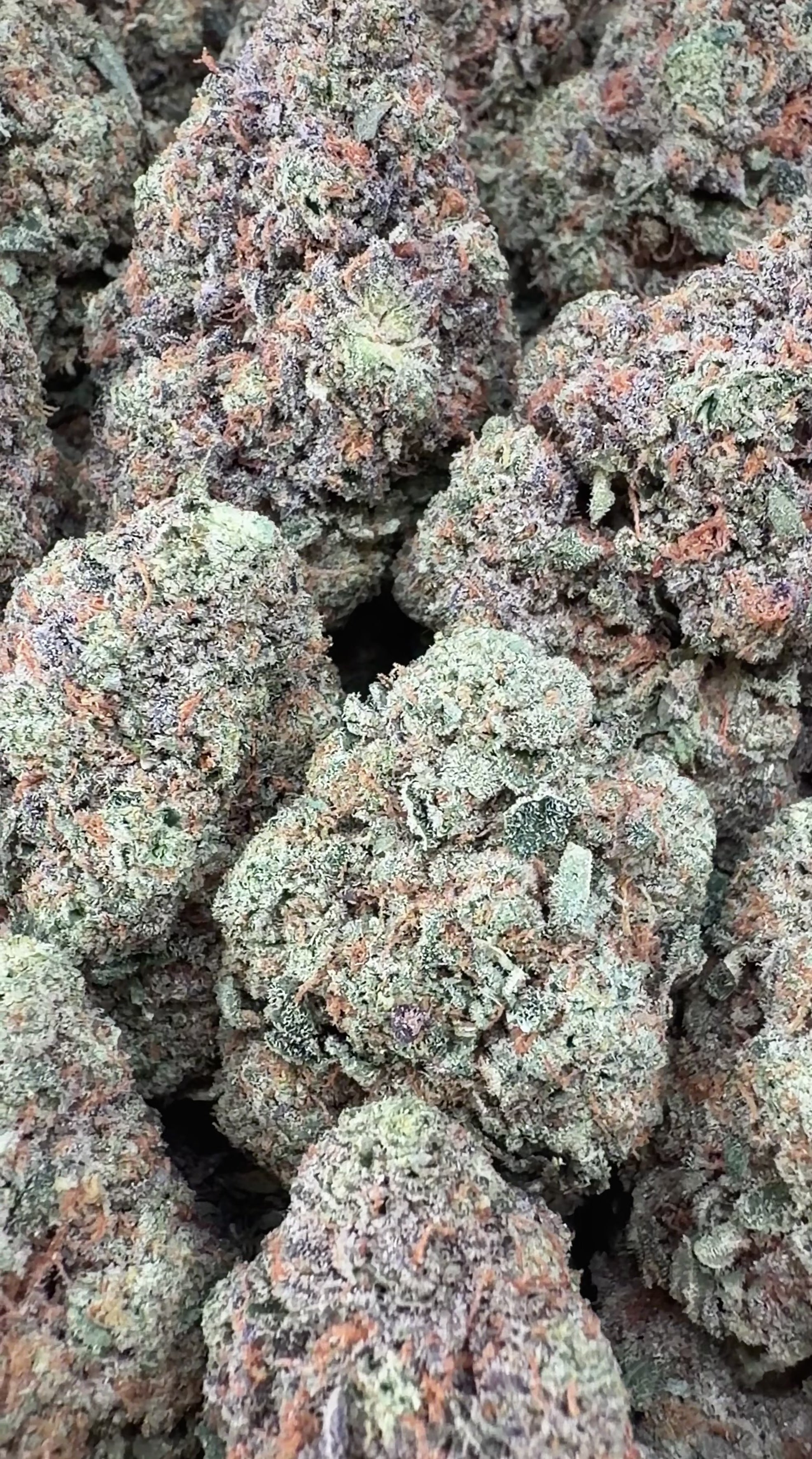 Royal Runtz (Wholesale)