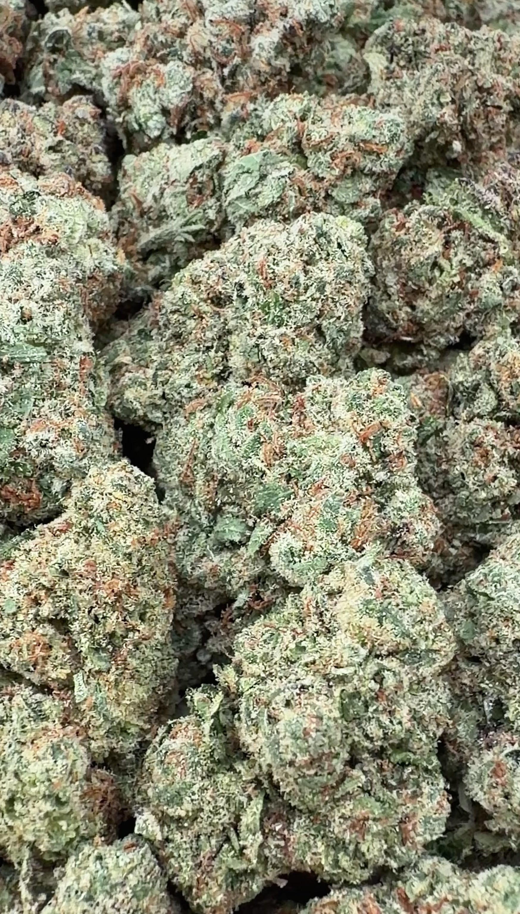 Oreo