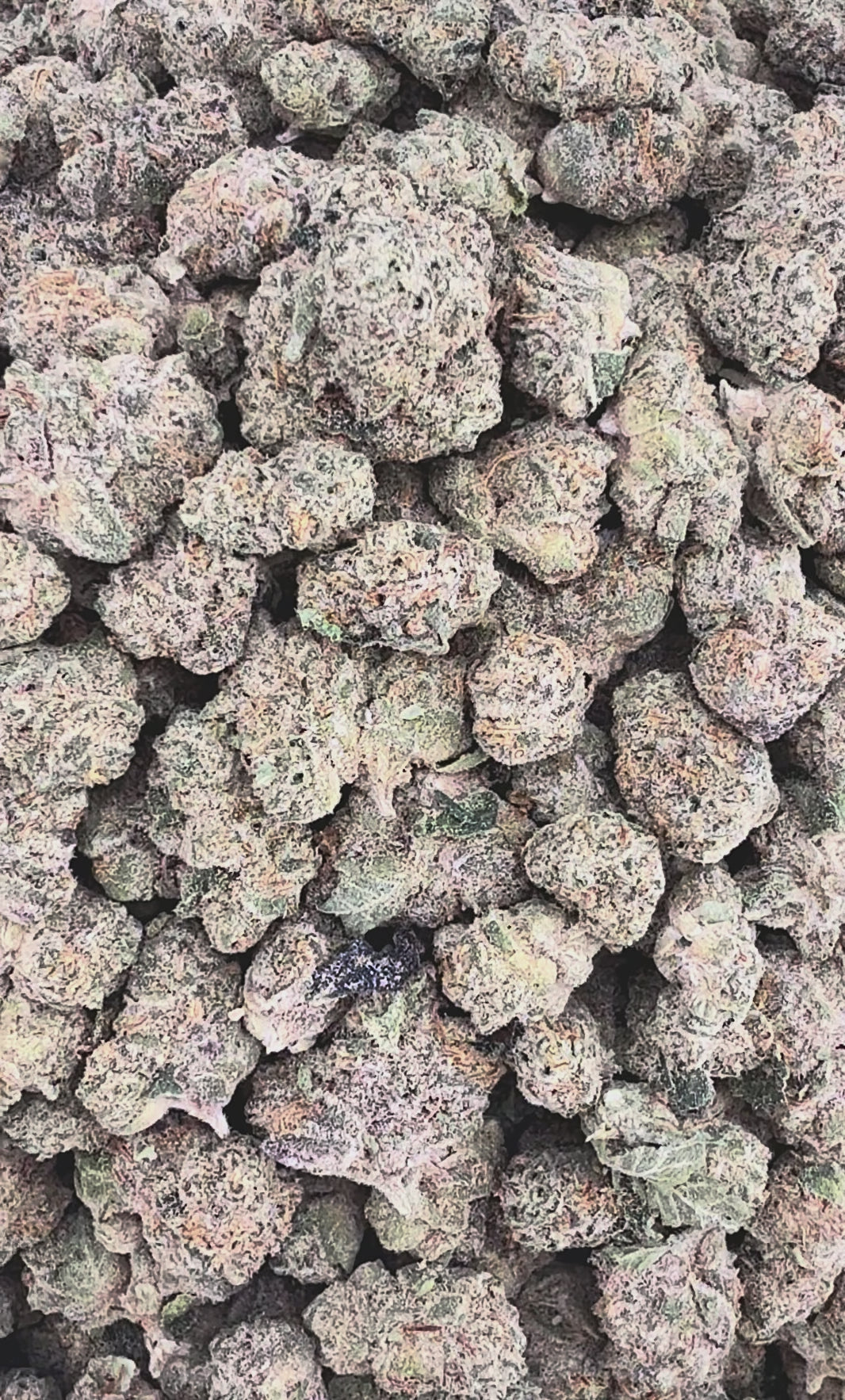 Carbon Fiber THCa Smalls (Wholesale)