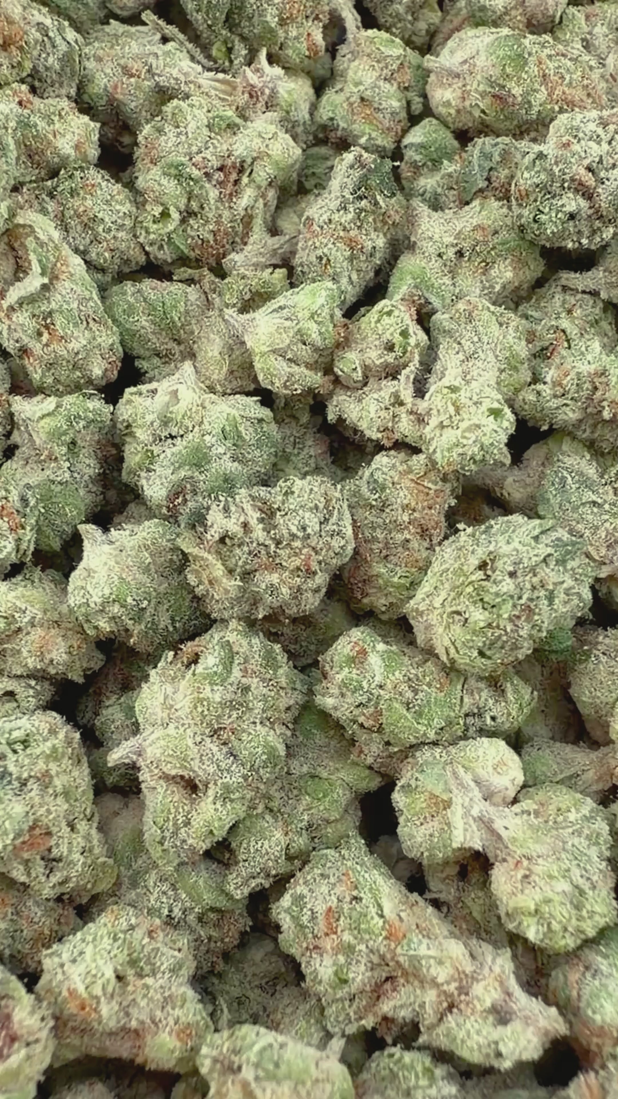 Bubble Bath THCa Micro