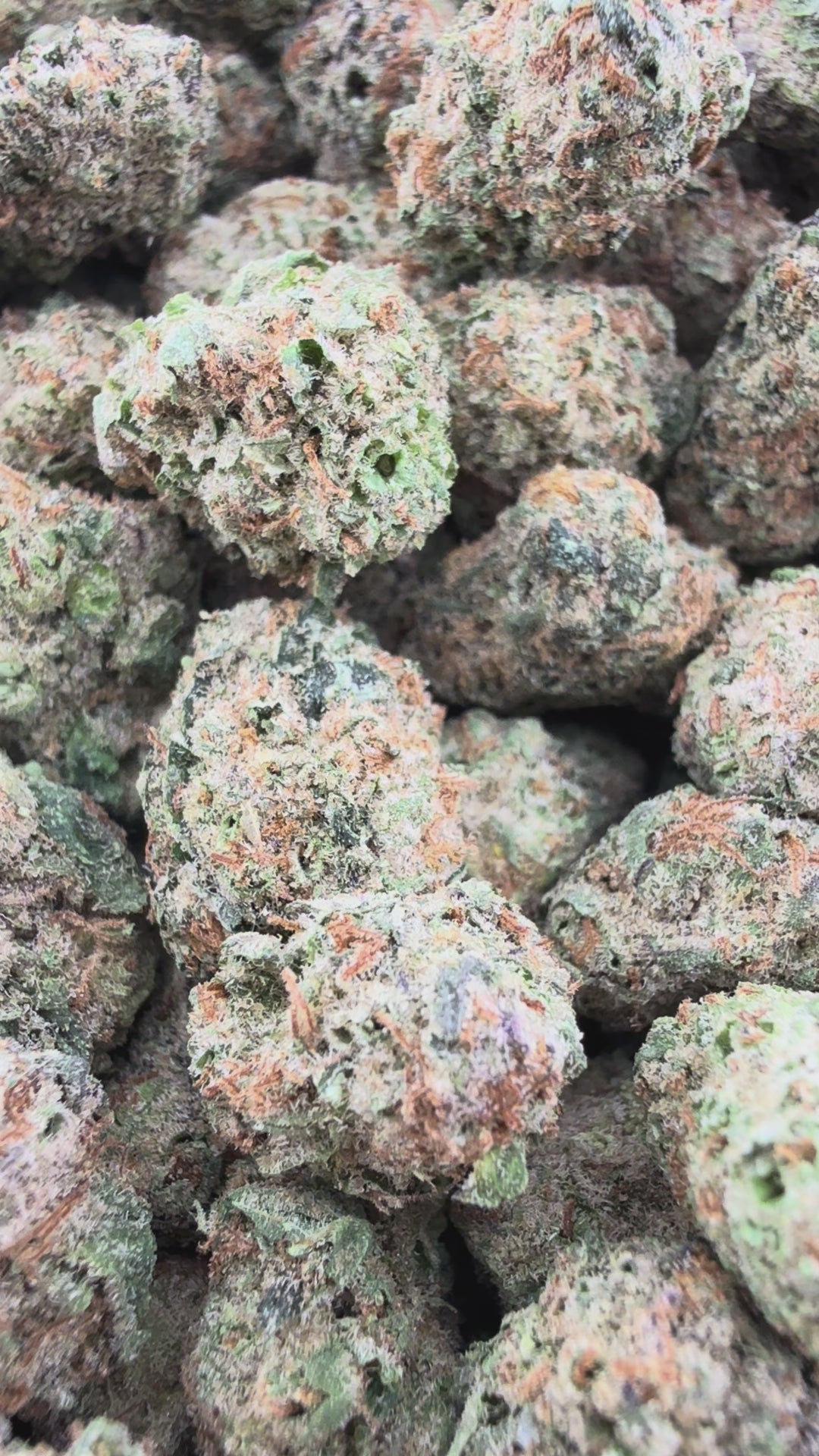 Cali Gas THCa Smalls (Wholesale)