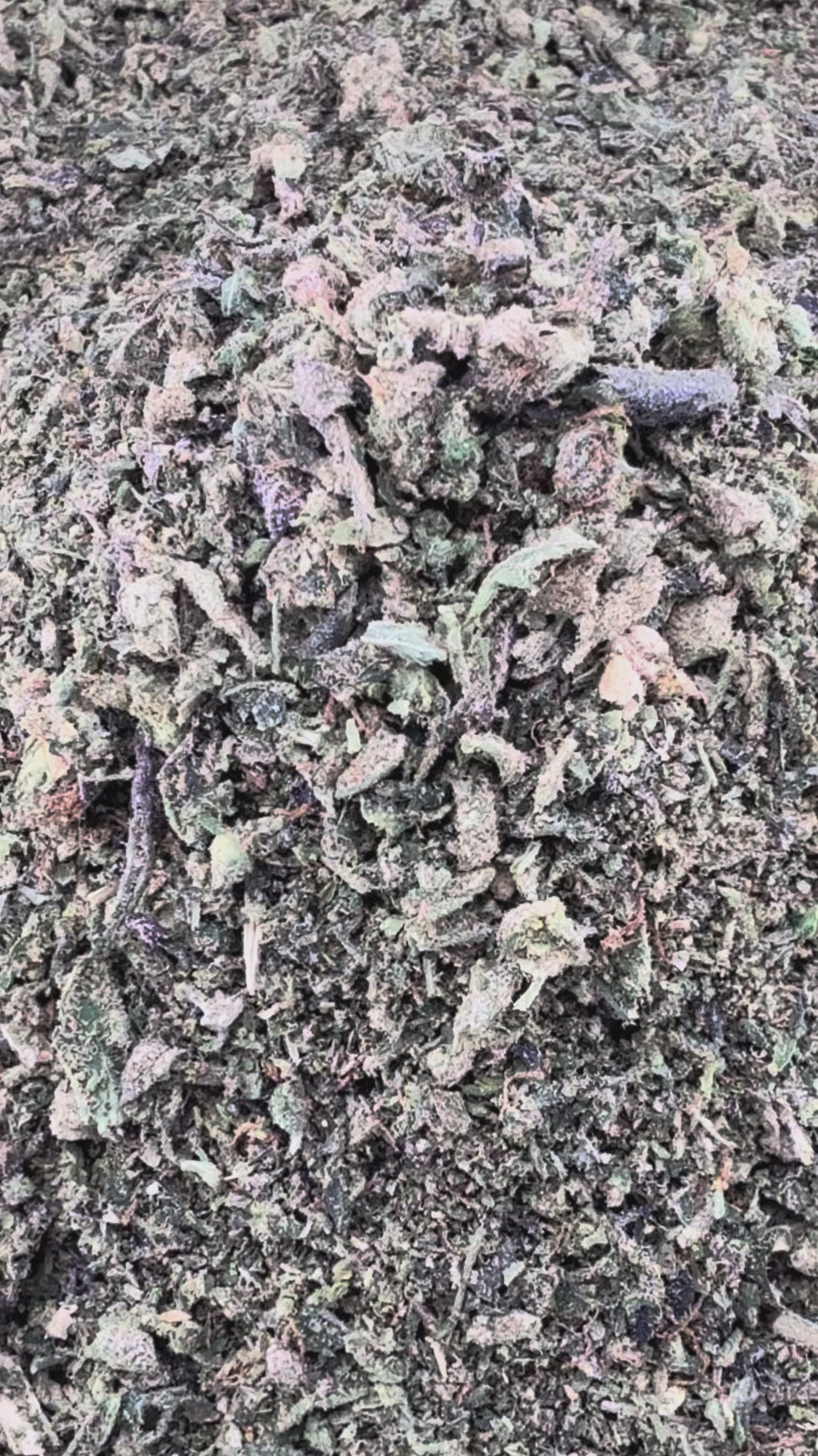 (Buy 1 Get 2 Free) No2 New. Ice Cream Cake THCa Shake
