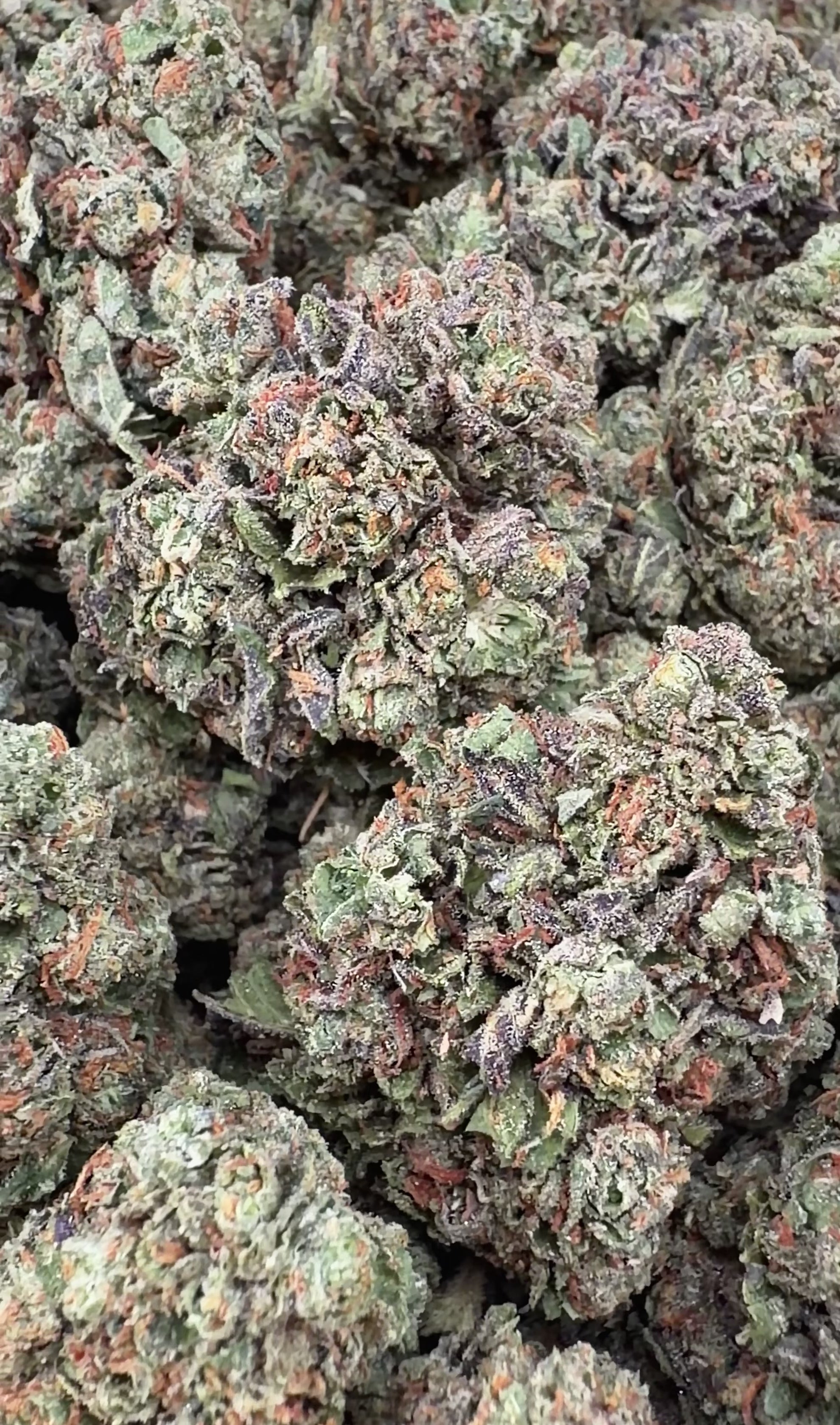 Sour Diesel