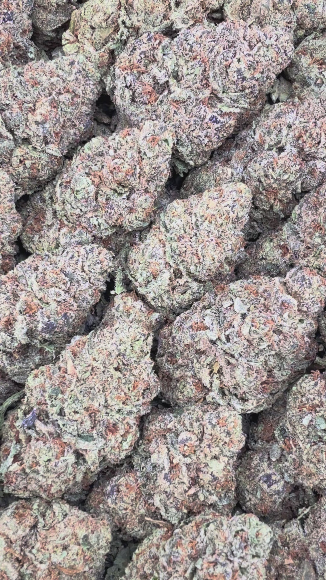 Cali Gas