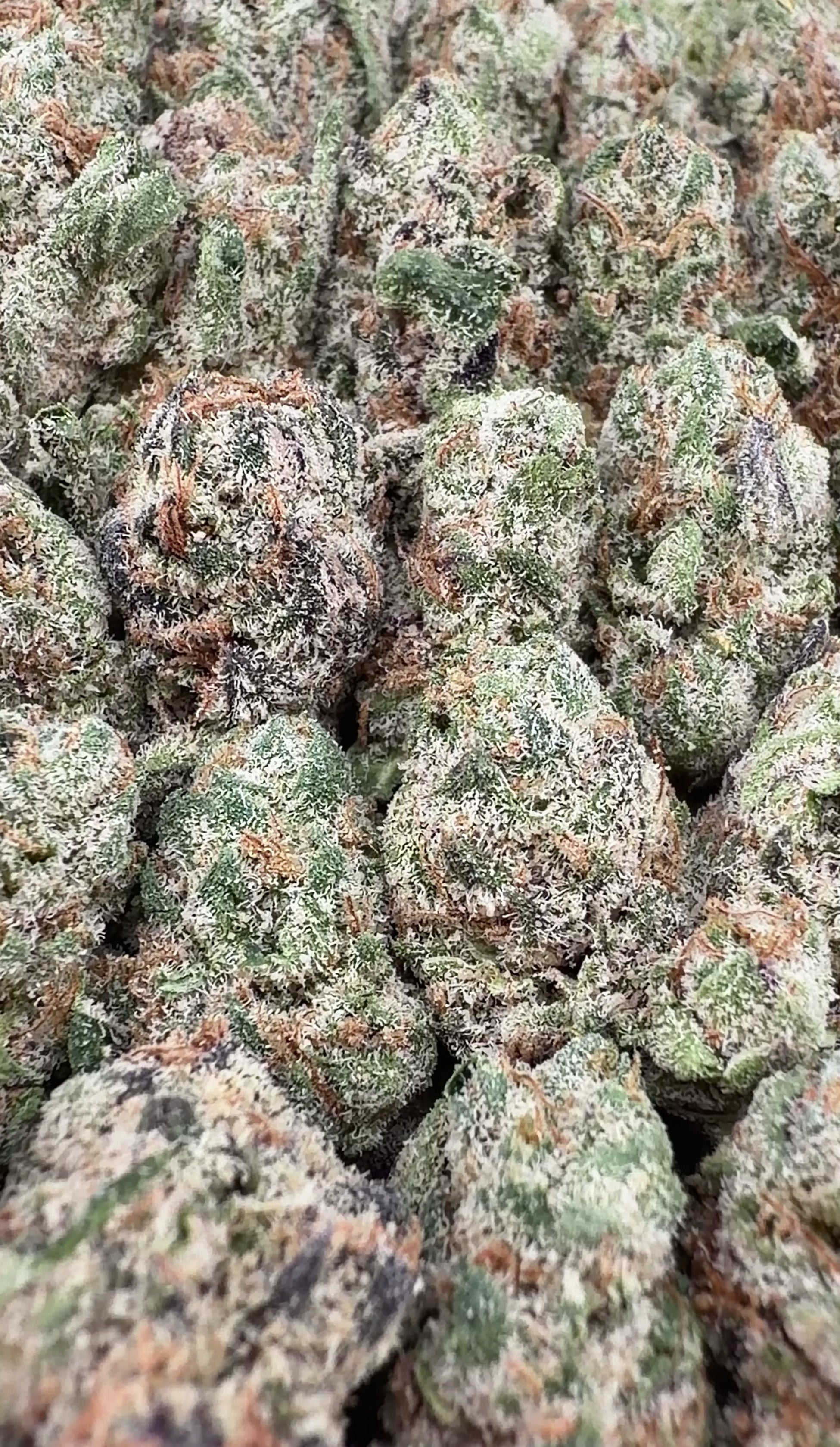 BOGO Buy 14G get 14G🔥Rainbow Runtz THCa Smalls