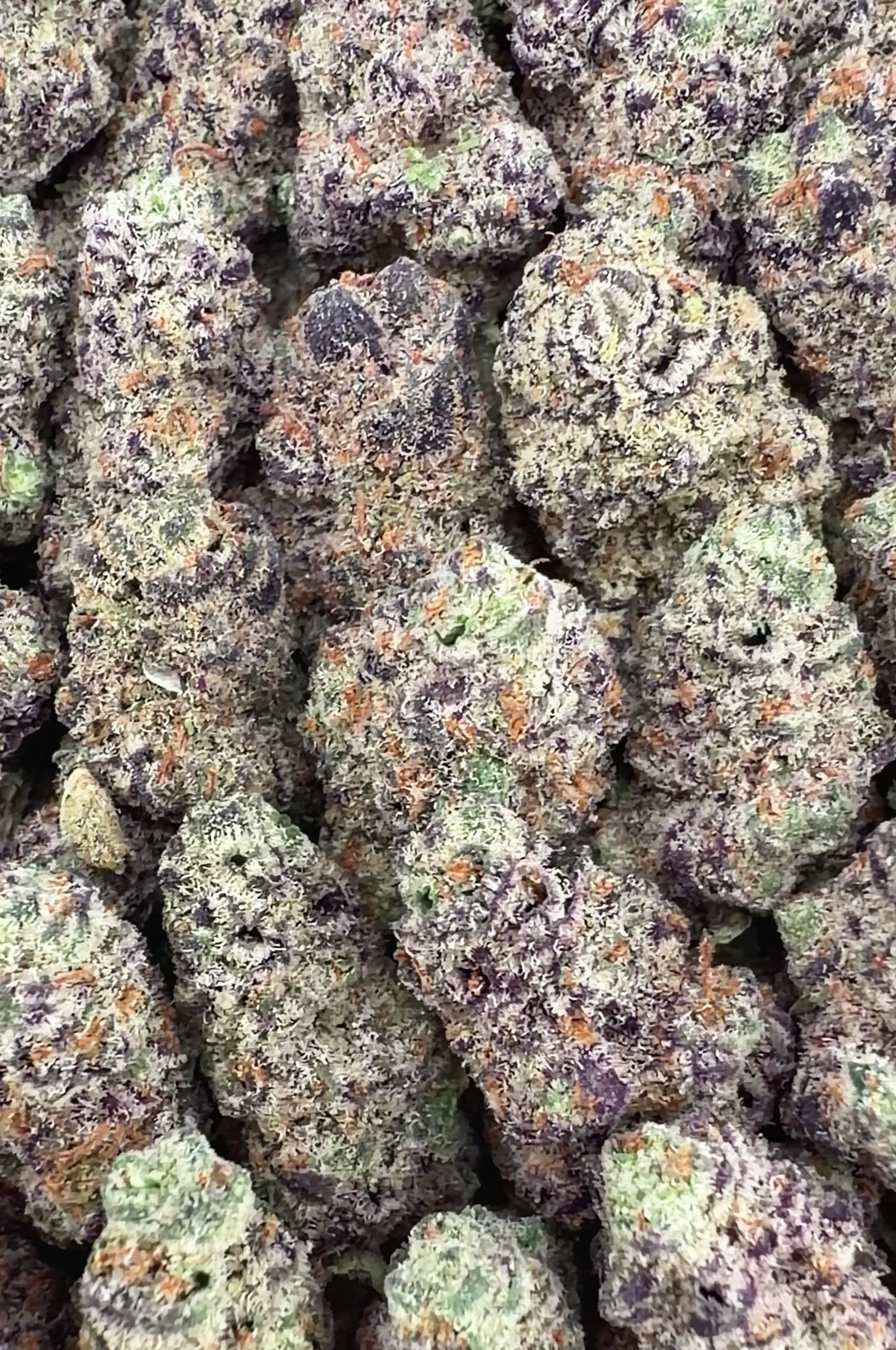 Glitter Bomb THCa Smalls (Wholesale)