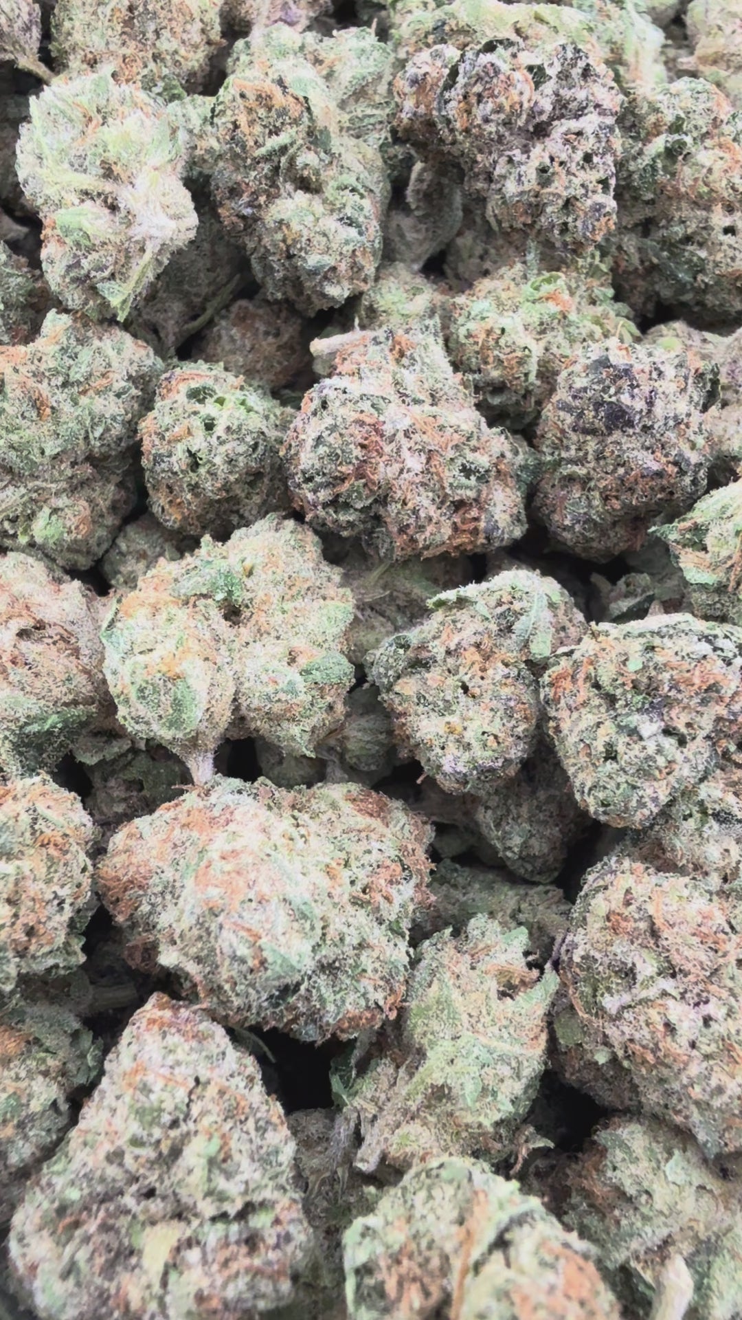 Icy Pop THCa Exotic Smalls