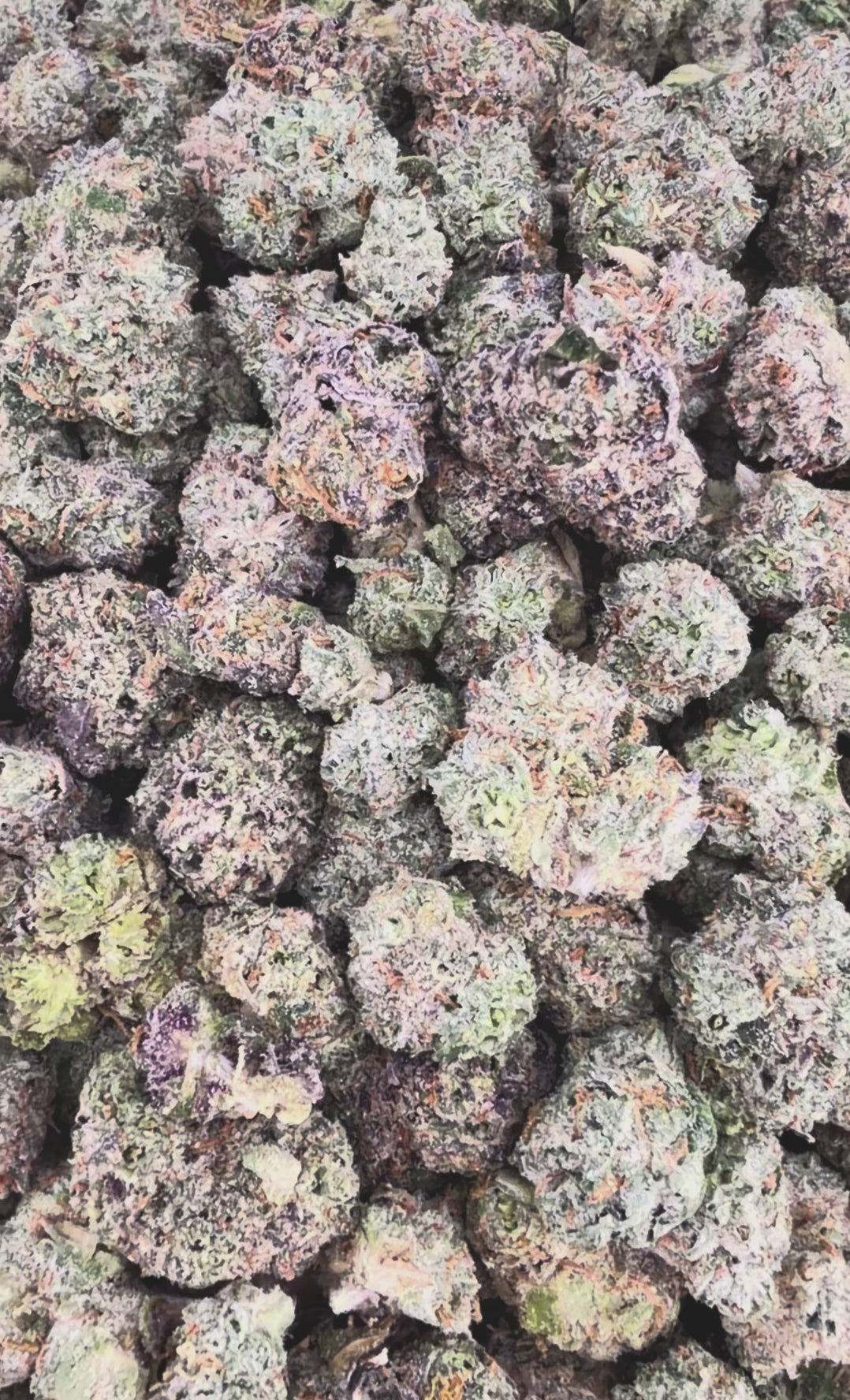 Gruntz THCa Smalls (Wholesale)