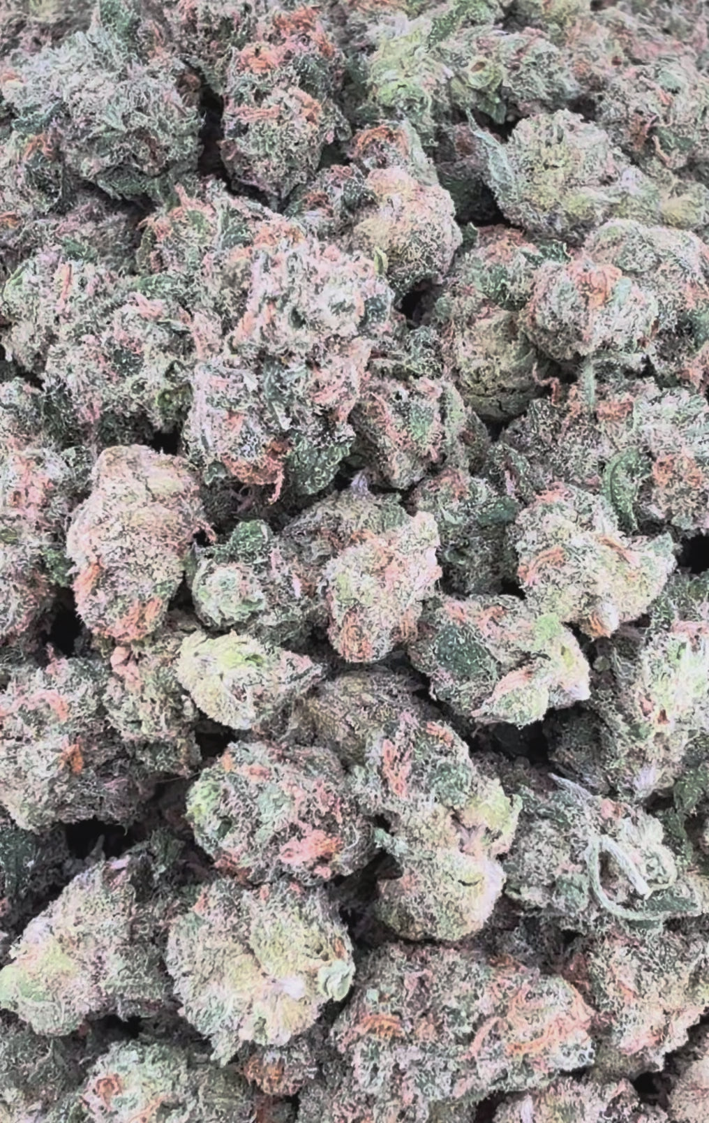 Silver Haze THCa Exotic Smalls