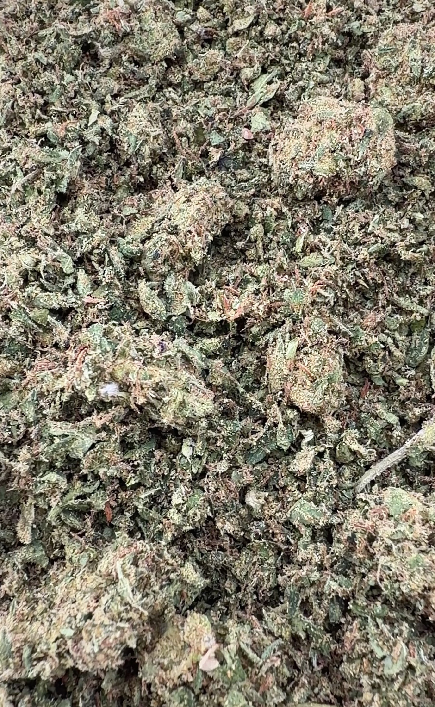 No3. Gelato 45 THCa Shake