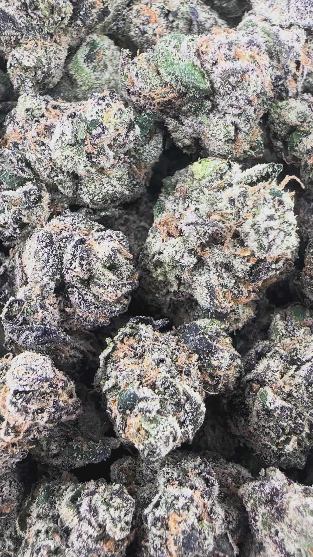 Mango Kush THCa Exotic Smalls - Valley Hemp