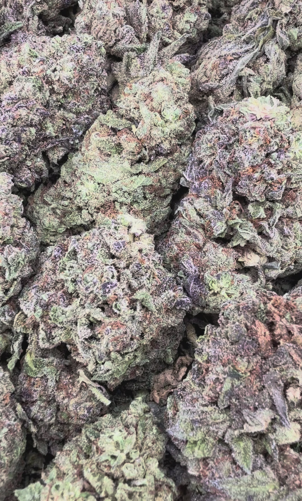 Grape God