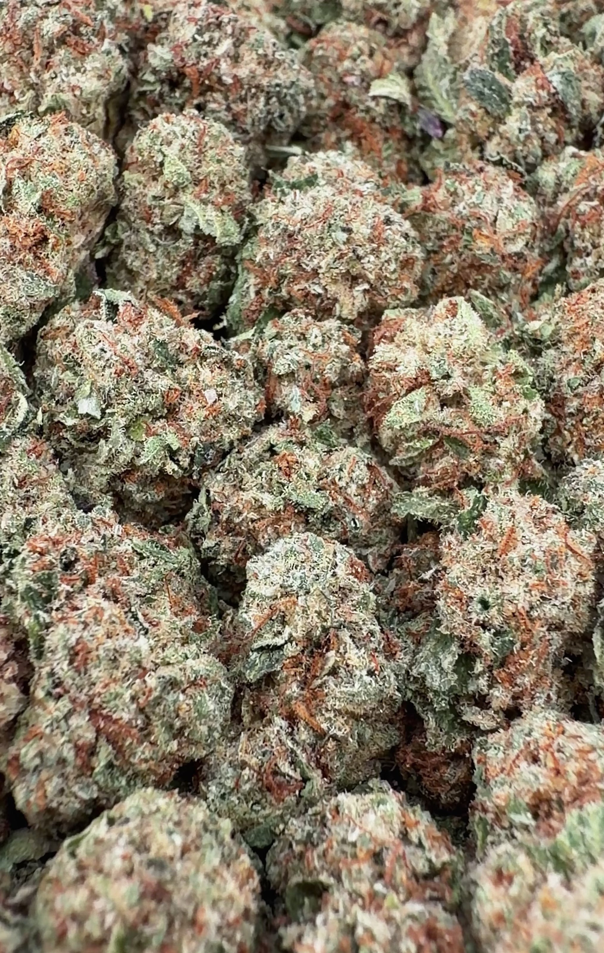 Key Lime Pie THCa Smalls