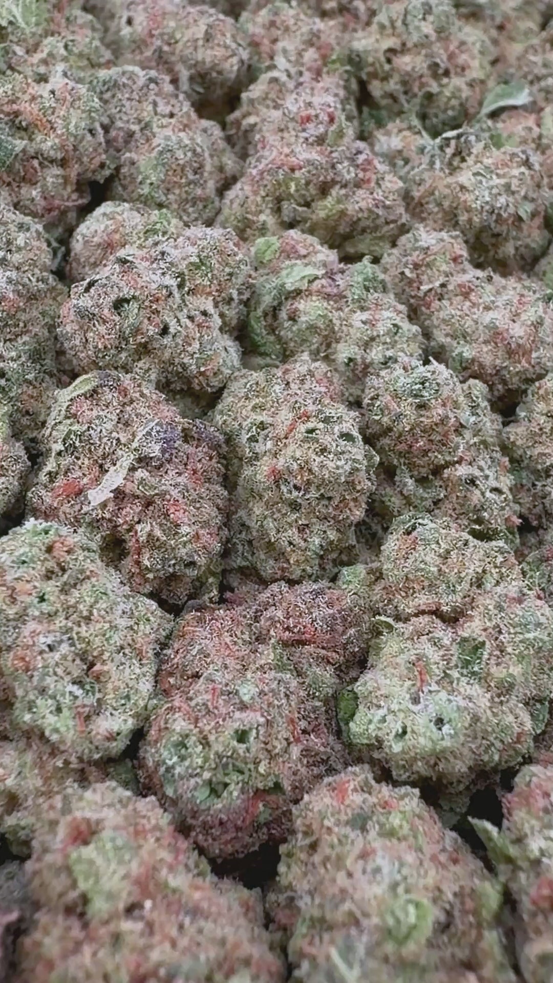 Blue Limonene THCa Smalls