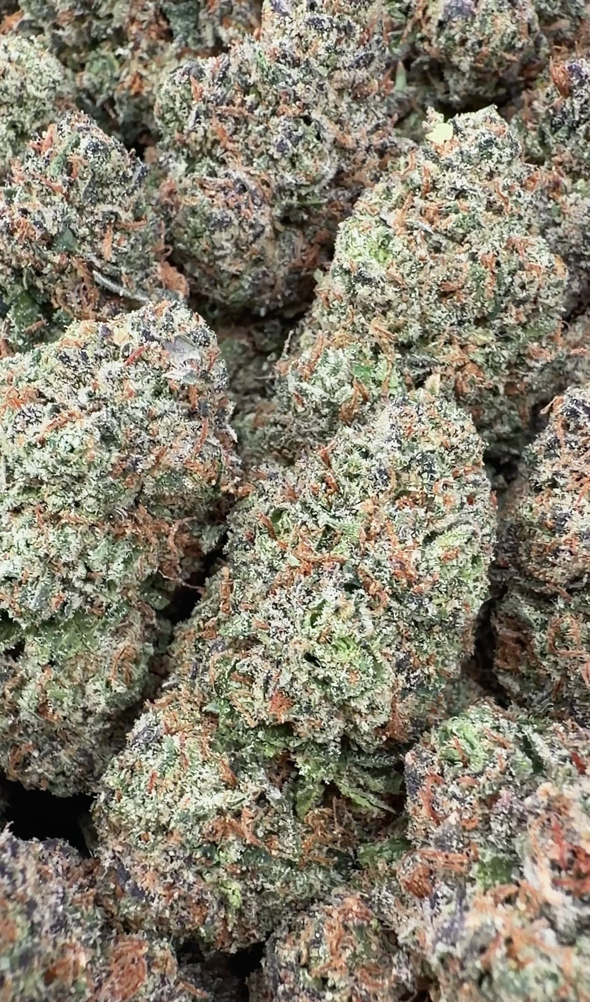 Cali Gas (Wholesale)
