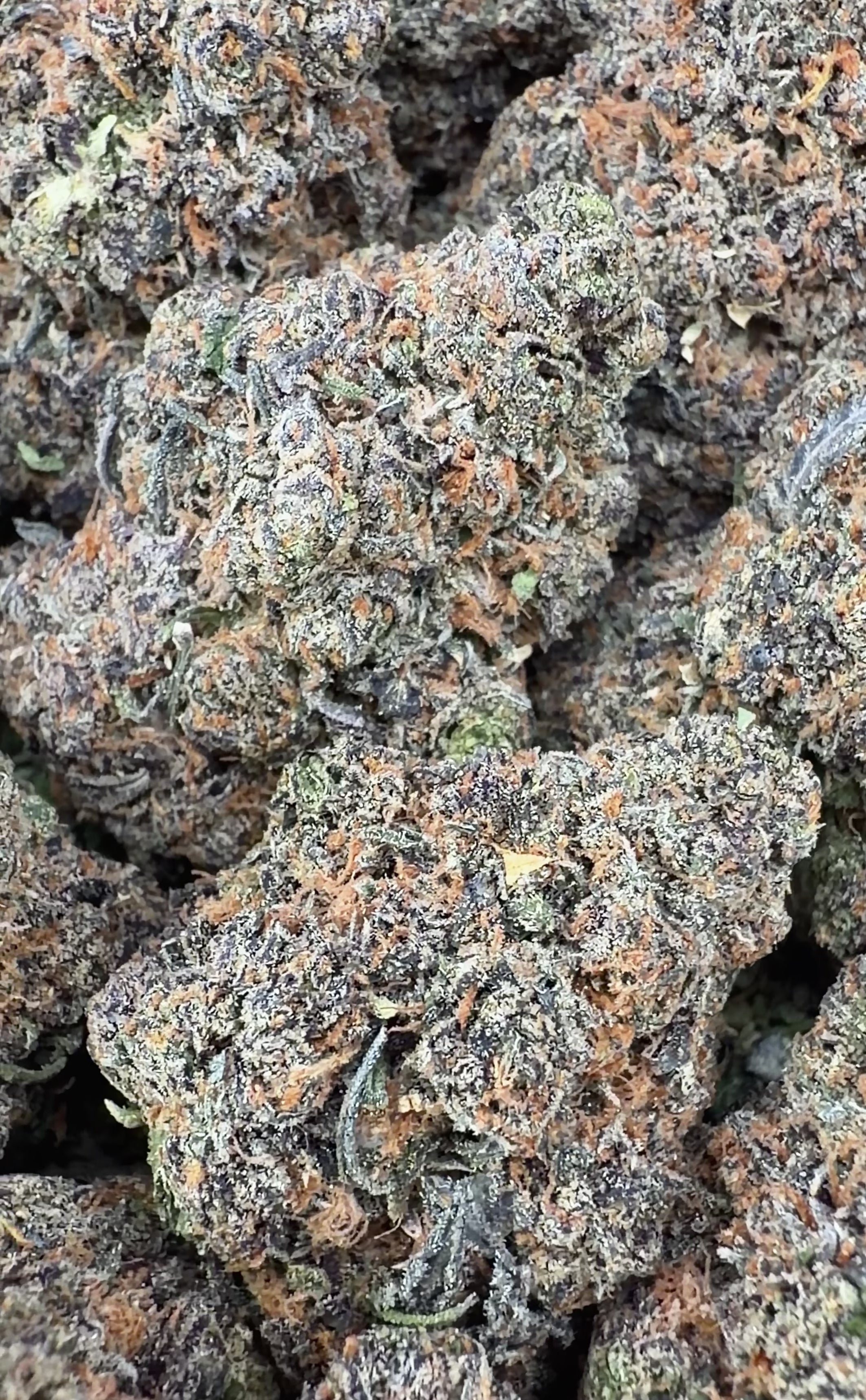 (BOGO HP Bulk) Wedding Cake- Indica Hybrid