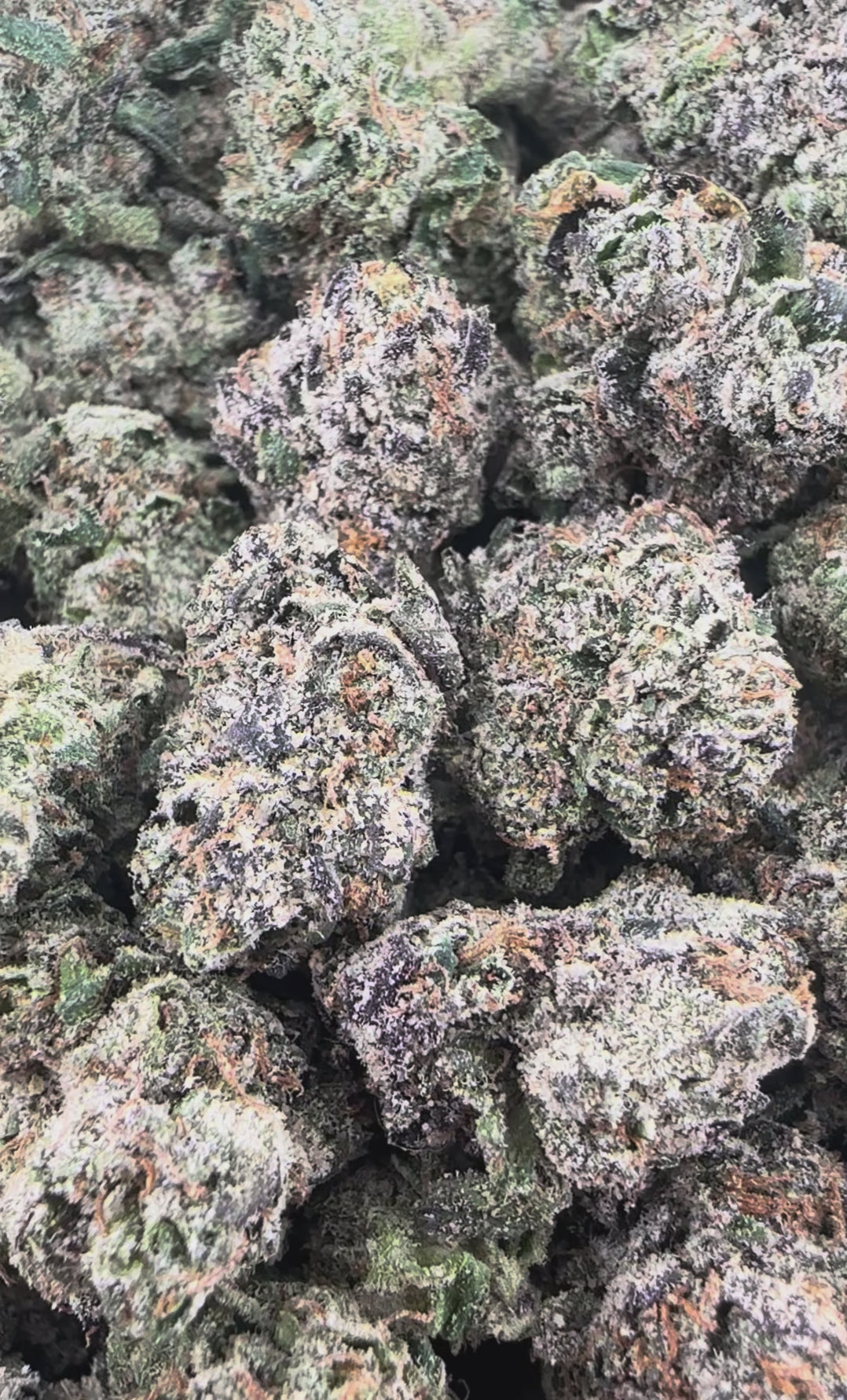 Blackberry Runtz THCa Exotic Smalls