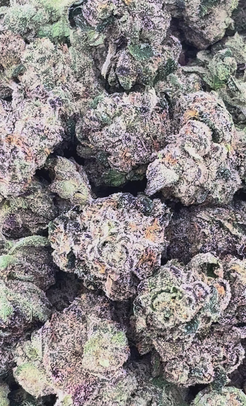 Ice Cream Cake THCa Exotic Smalls
