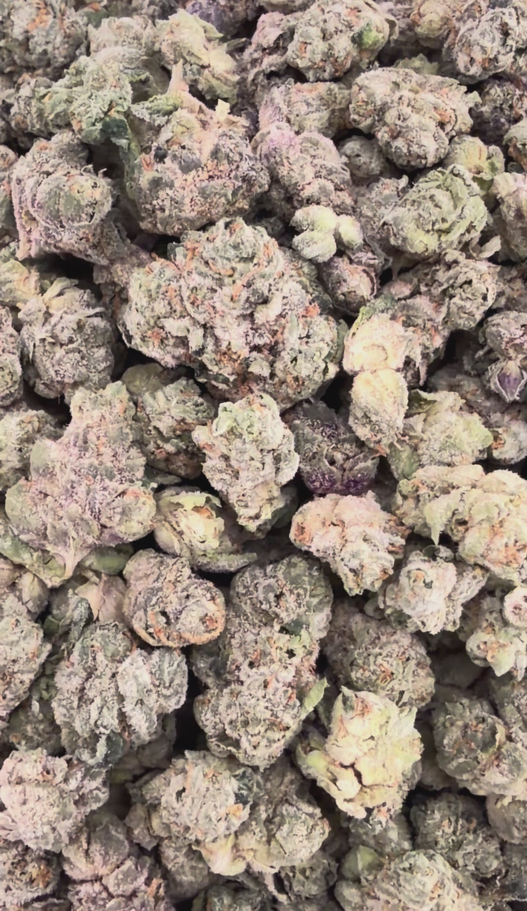 LA Runtz THCa Exotic Smalls