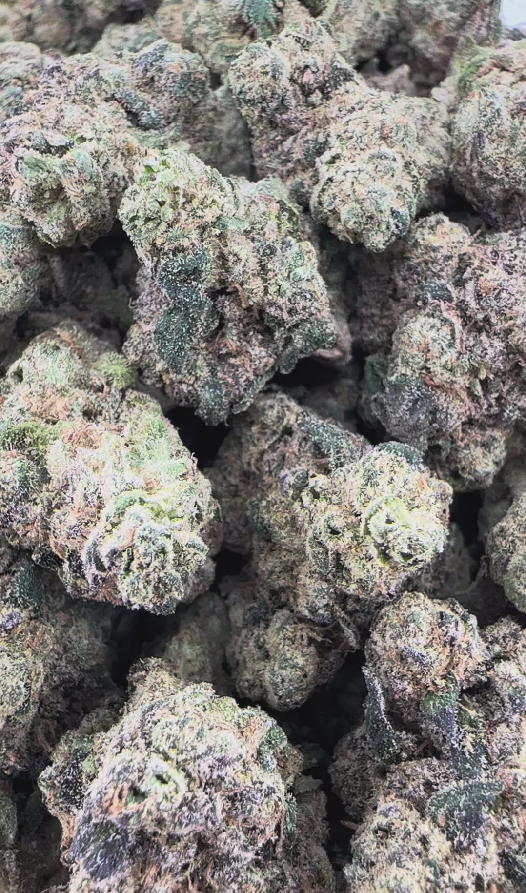 Donny Burger THCa Exotic Smalls