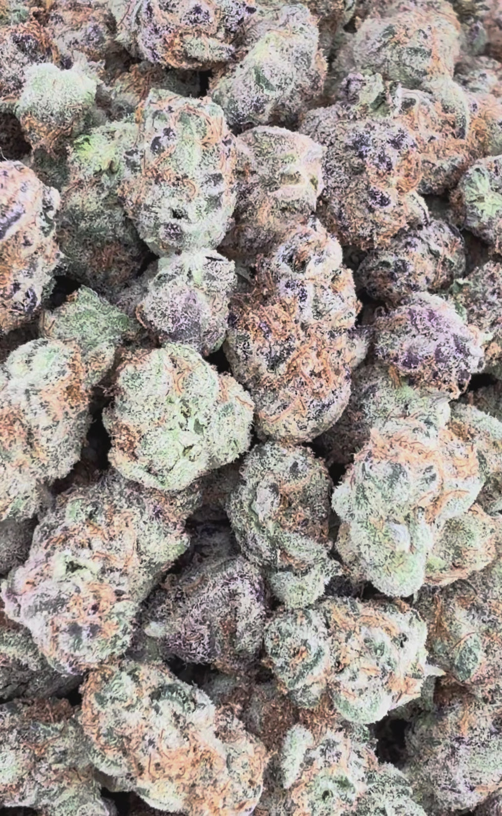 Garlicane THCa Exotic Smalls