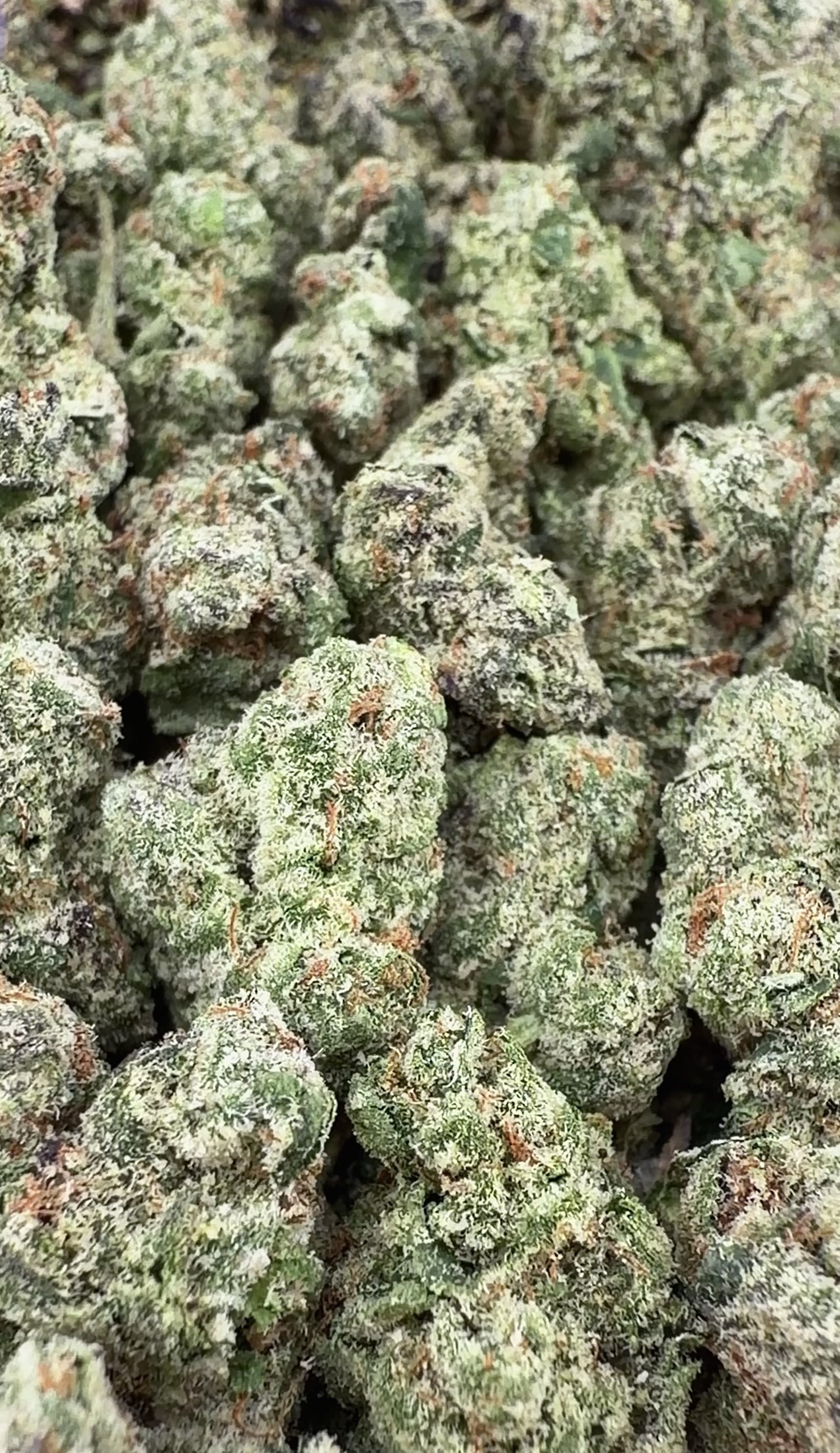 Blue Nerd THCa Smalls