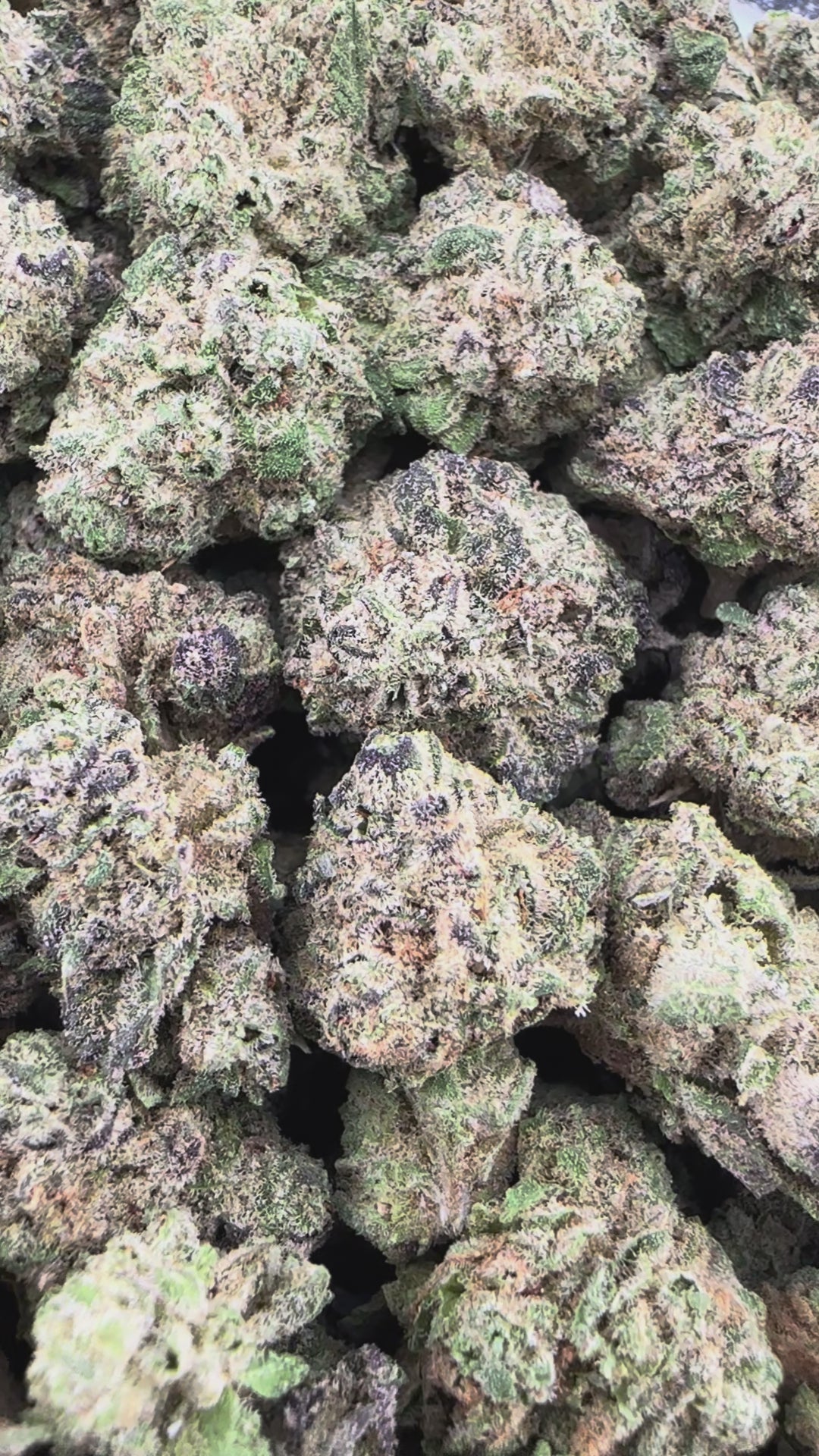 Cheetah Piss THCa Exotic Smalls