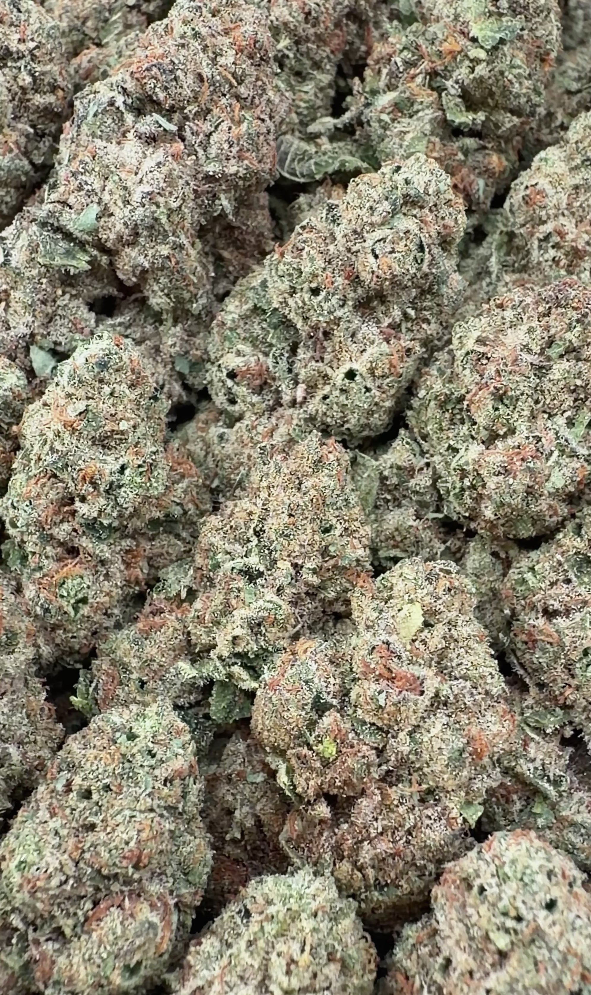 Icy Pop (Wholesale)