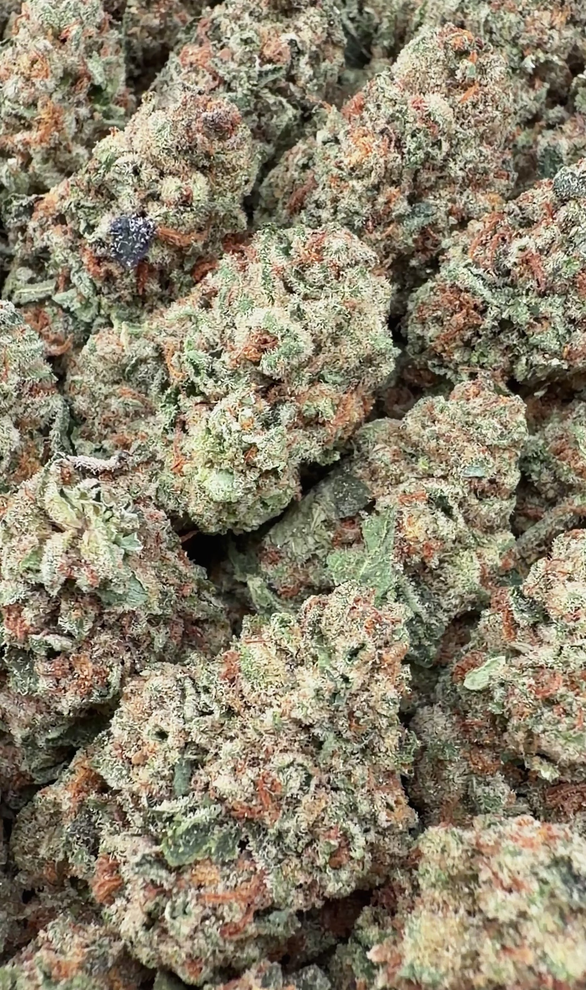 New York Cheesecake (Wholesale)