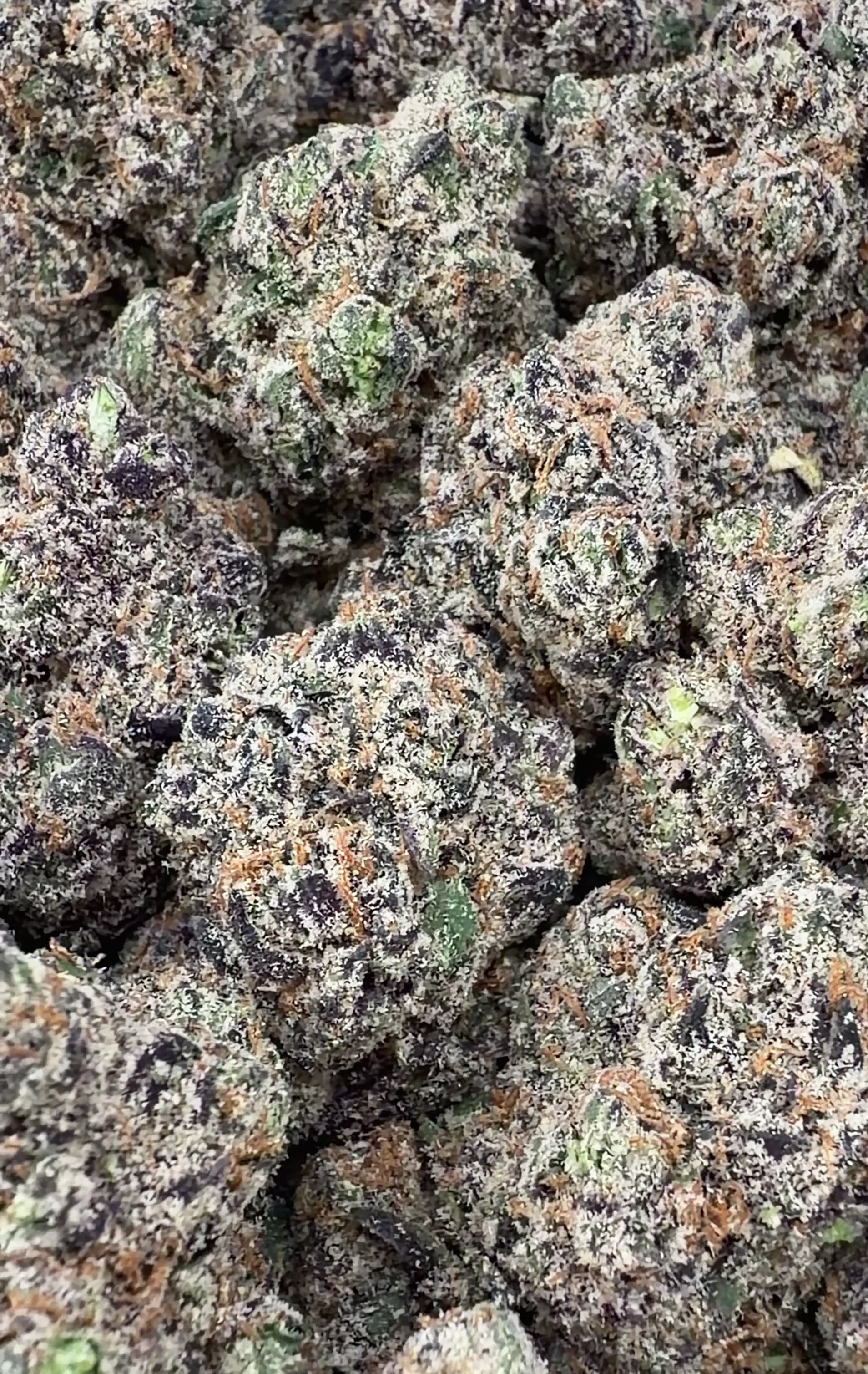 Exotic Bubblegum