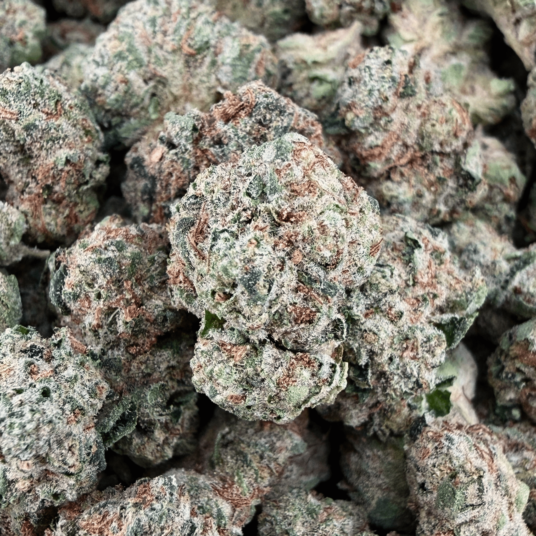 Purple Cream Cake THCa Smalls (Wholesale) - Valley Hemp