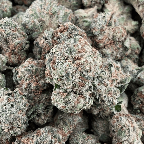 Purple Cream Cake THCa Smalls (Wholesale) - Valley Hemp